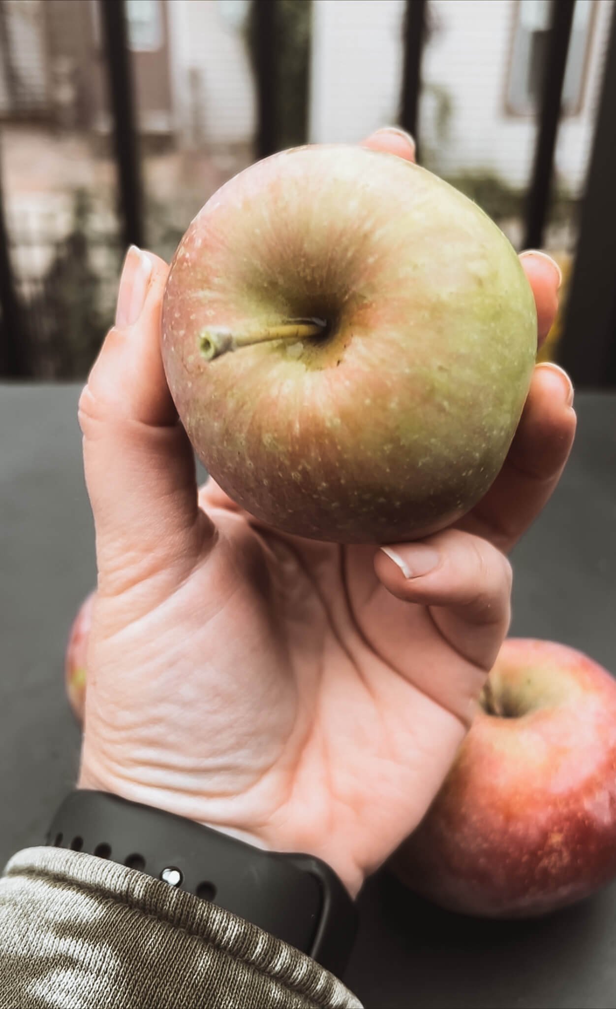 Gardener holding freshly picked red apple