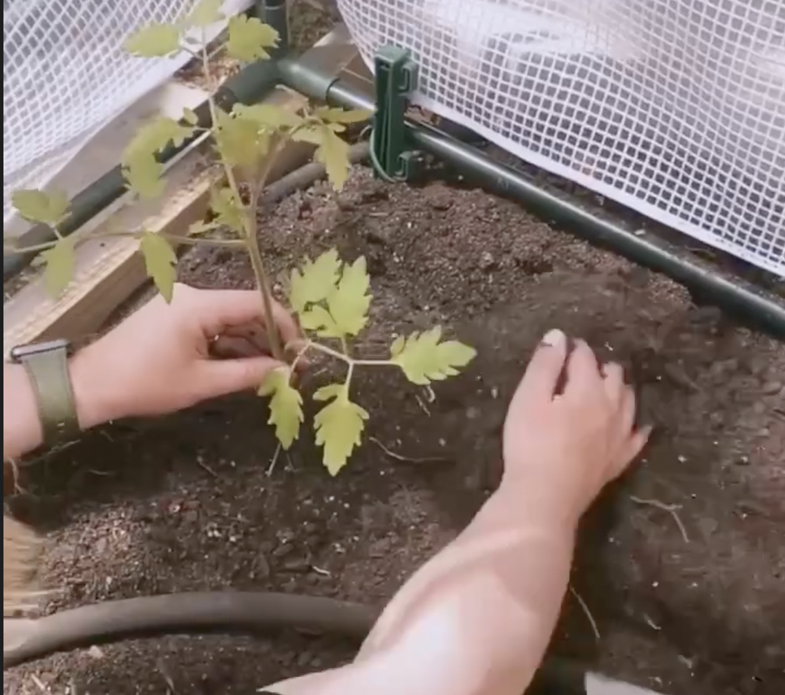 Dedicated Garden Care- (Pay Online, Monthly Subscription)