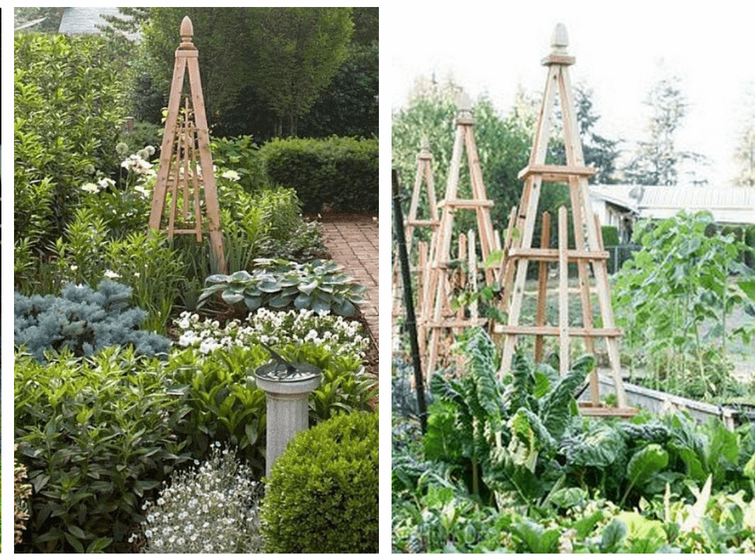 Two different gardens showing wood DIY obelisks.