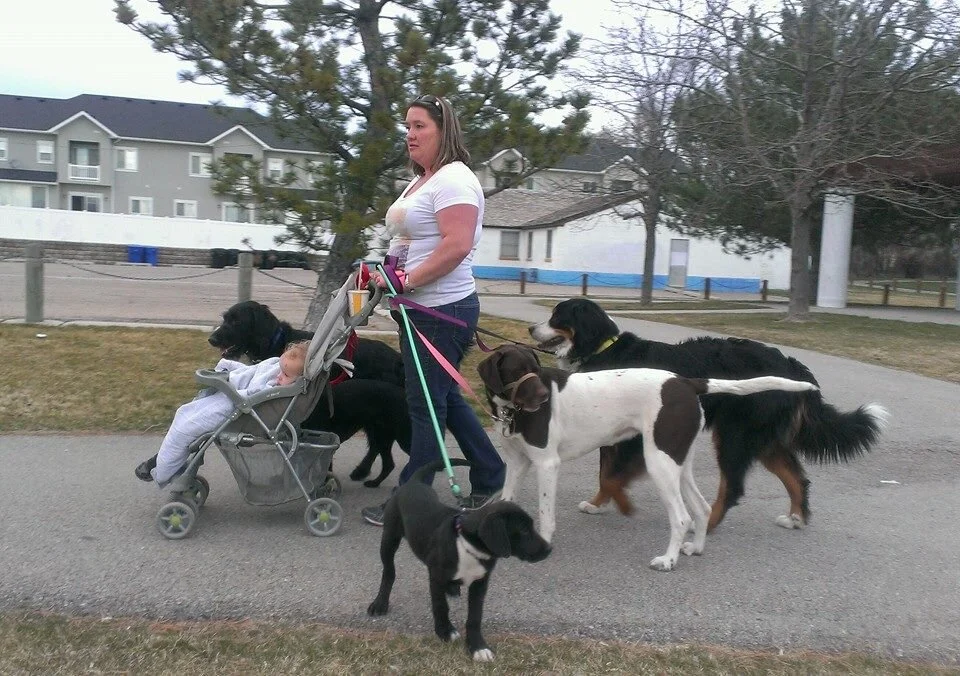 Kudos 2 Canines Salt Lake County's Premier Dog & Puppy Classes