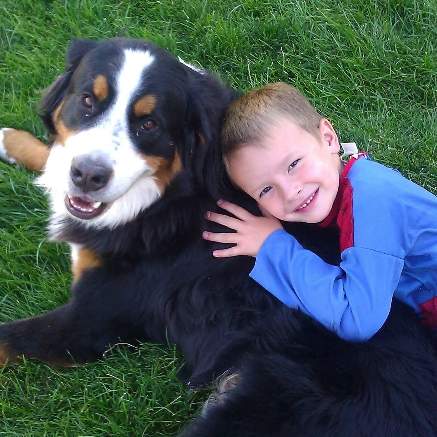 Contact — Kudos 2 Canines Salt Lake County's Premier Dog & Puppy Classes