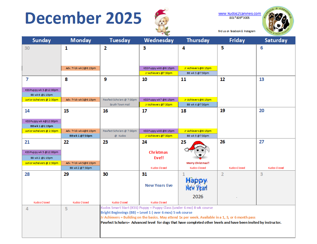 december 2025.png