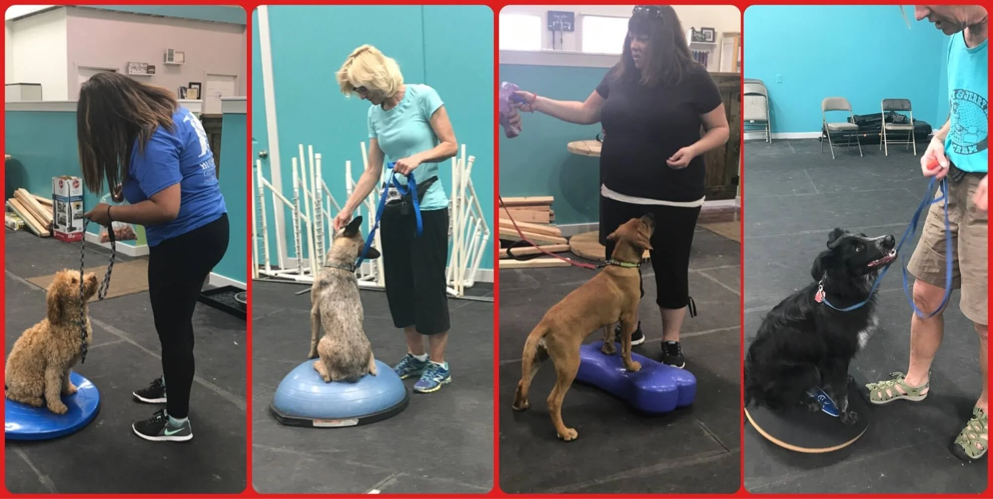 Kudos 2 Canines Salt Lake County's Premier Dog & Puppy Classes