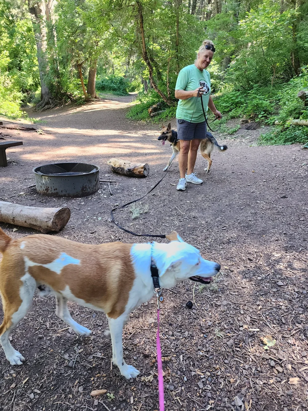 About 4 — Kudos 2 Canines Salt Lake County's Premier Dog & Puppy Classes