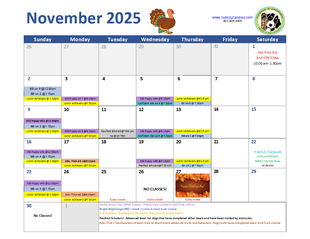 November 2025.png