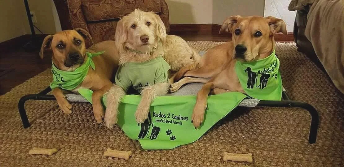 Kudos 2 Canines Salt Lake County's Premier Dog & Puppy Classes