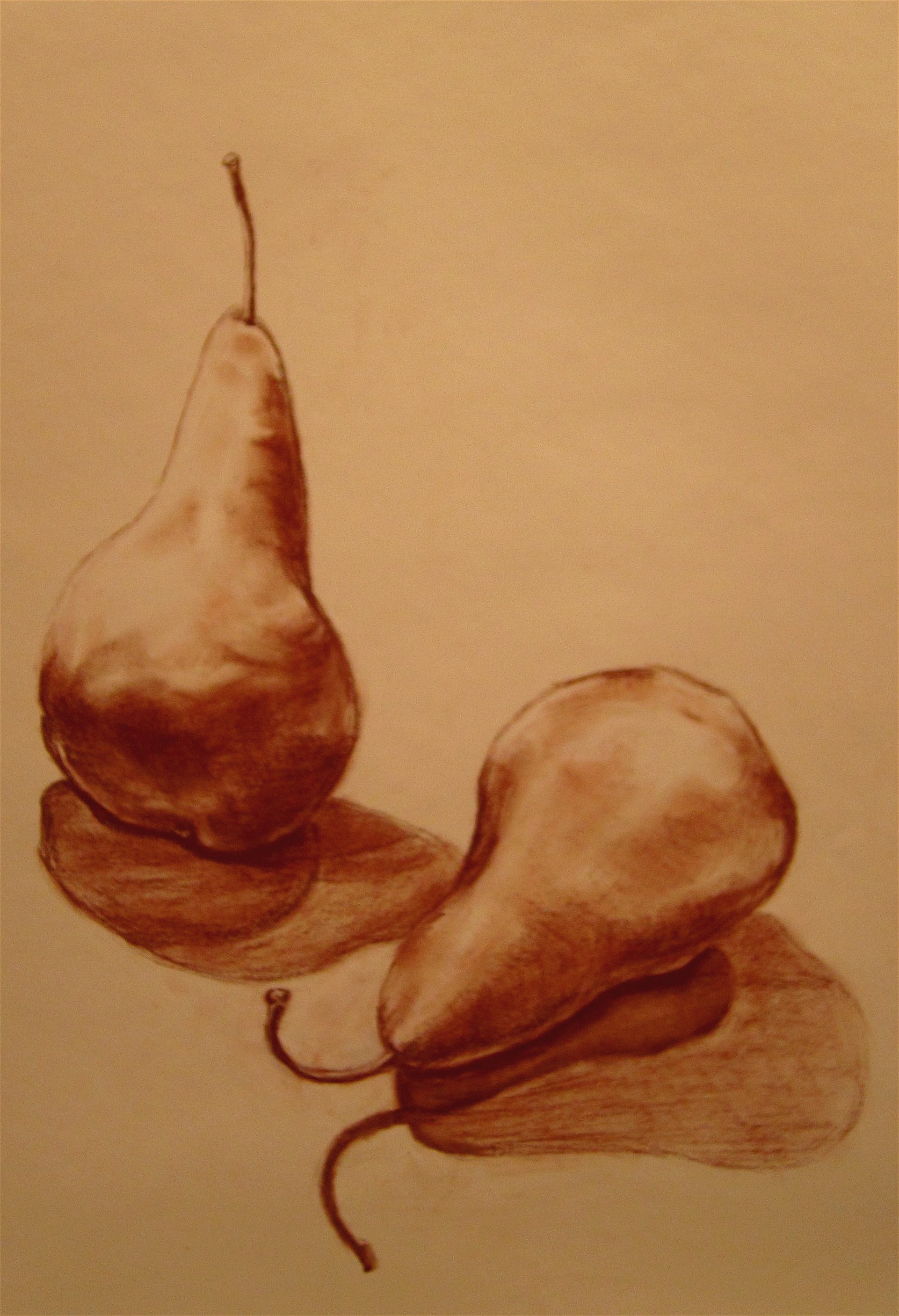 Two Pears |
9” x 12” |
Conte Crayon  on Paper |
2013