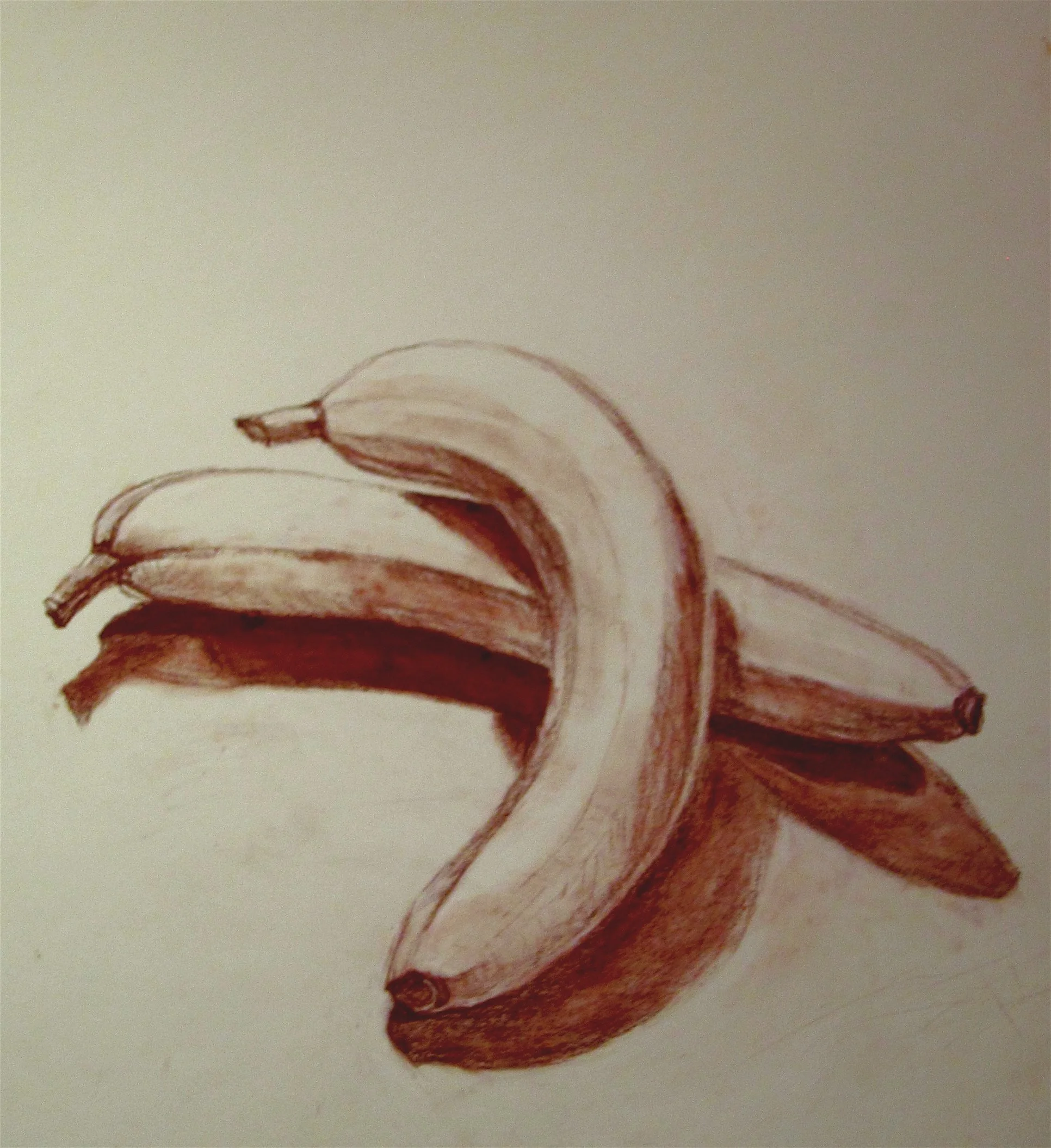 Crossed Bananas |
12” x 12” |
Conte Crayon on Paper |
2013