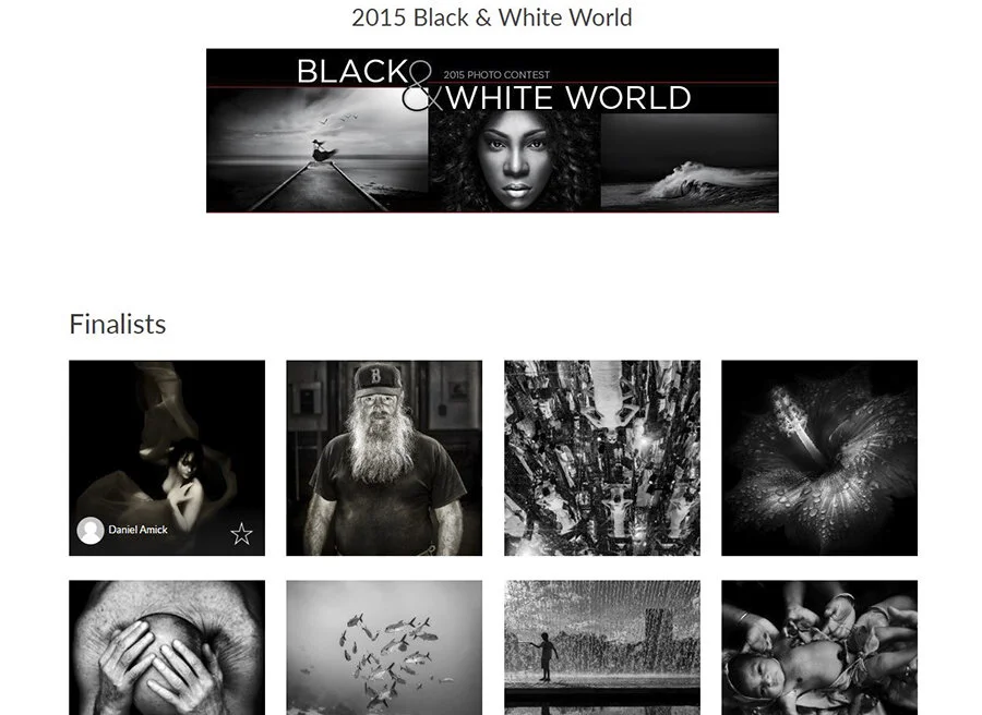 2015 BW world finalist_sm.jpg
