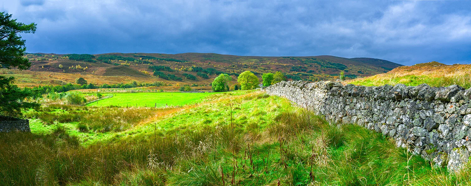  Panorama of old stone wall and pasture in Croick, Scotland. 