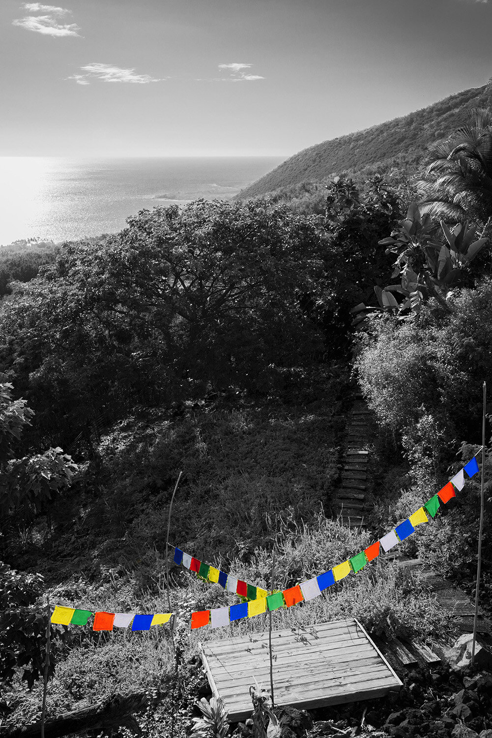  Meditation pad overlooking Kealakekua Bay on Hawaii Island with prayer flags from Bhutan and Nepal. We need all the help we can get. 