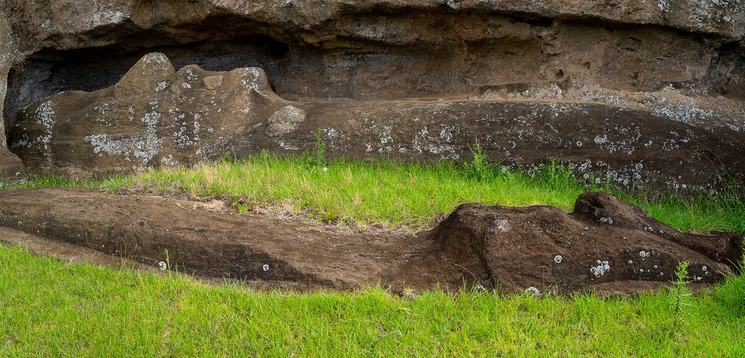  Unfinished lying moai at Rano Raraku quarry on Easter Island. 