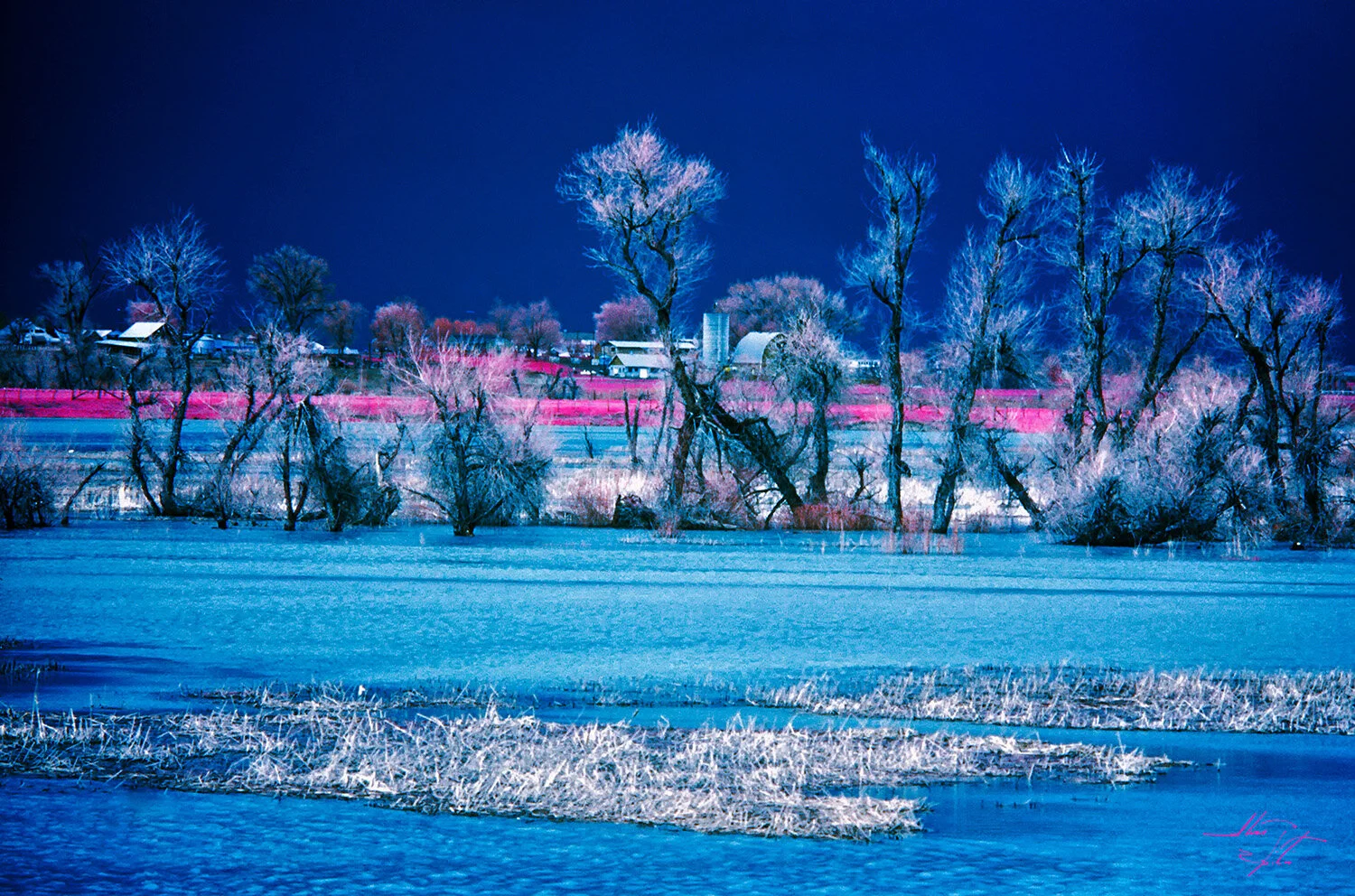 200141741-001