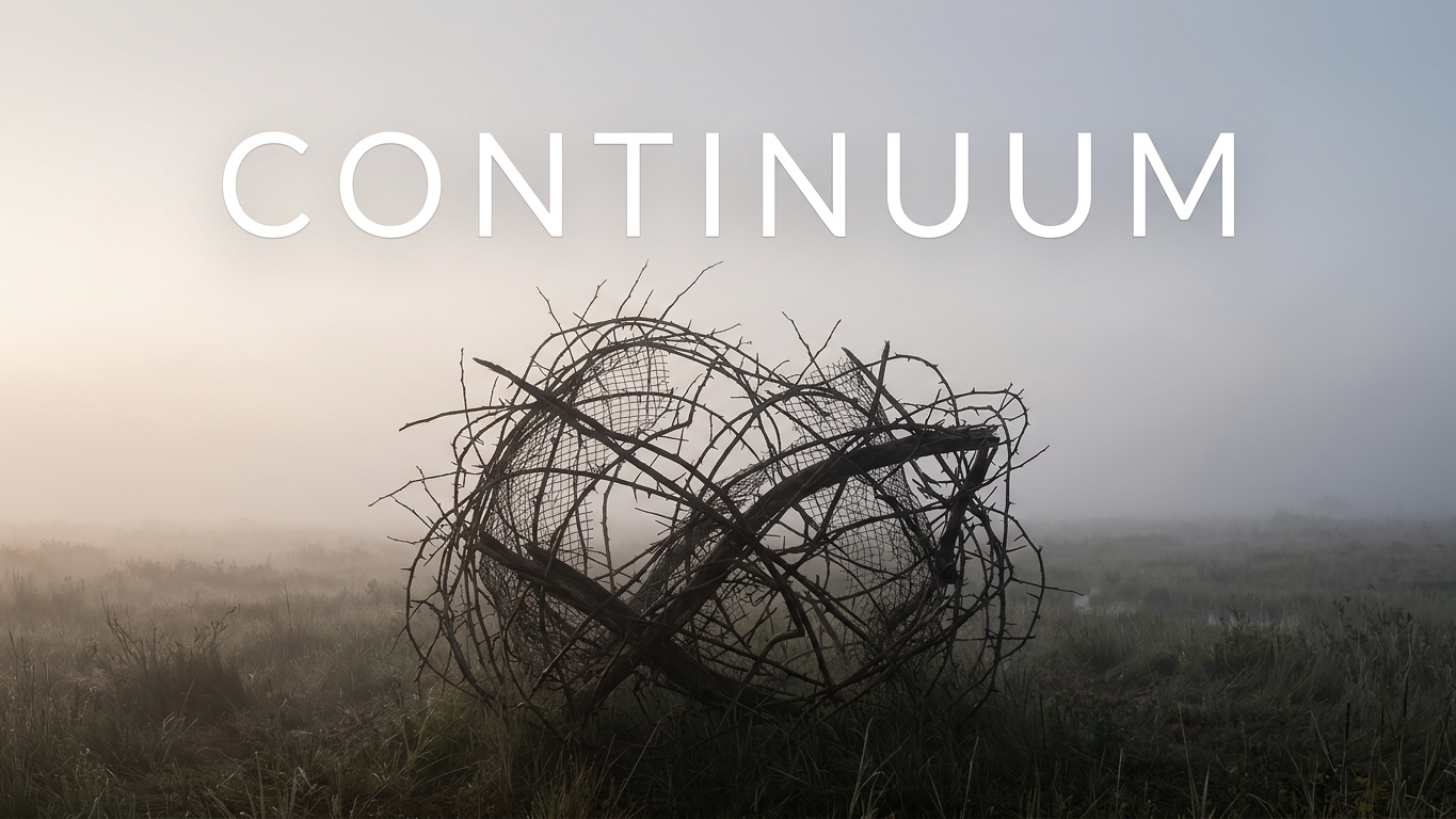 2026 Documentaire CONTINUUM