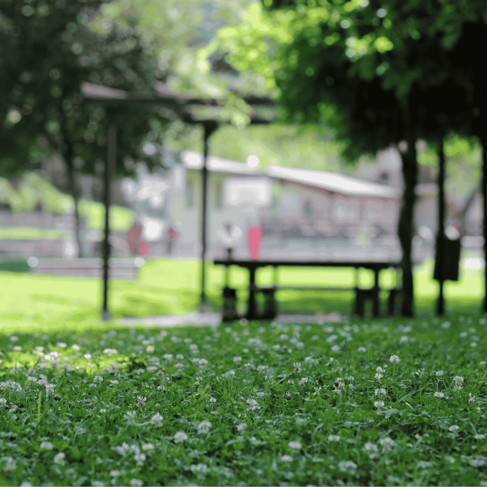 What Recreational Installations Add to Multi-Family Housing Projects