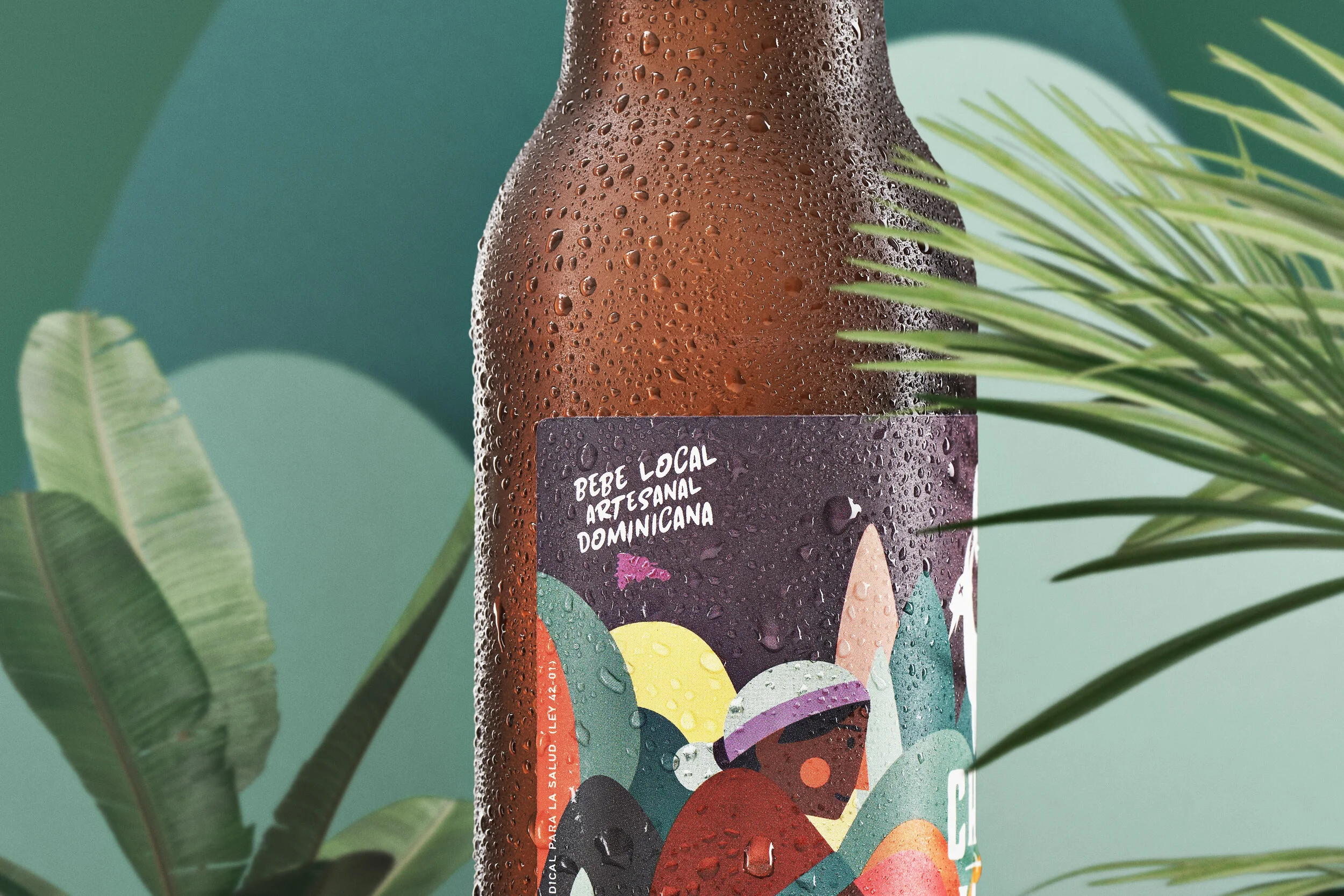 Modafoca_ Detalle.jpg