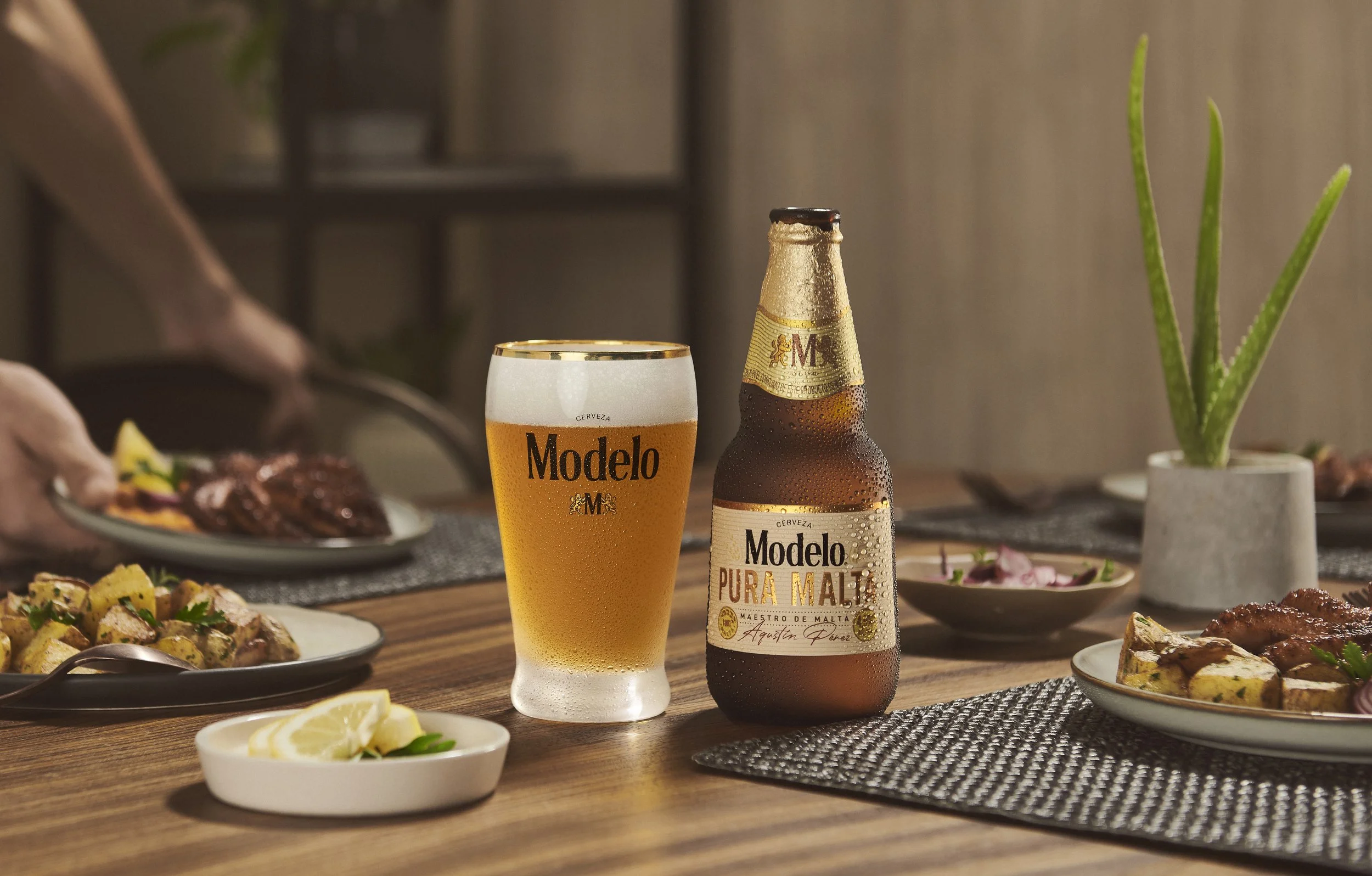 Cerveza Modelo0673 copy.jpg