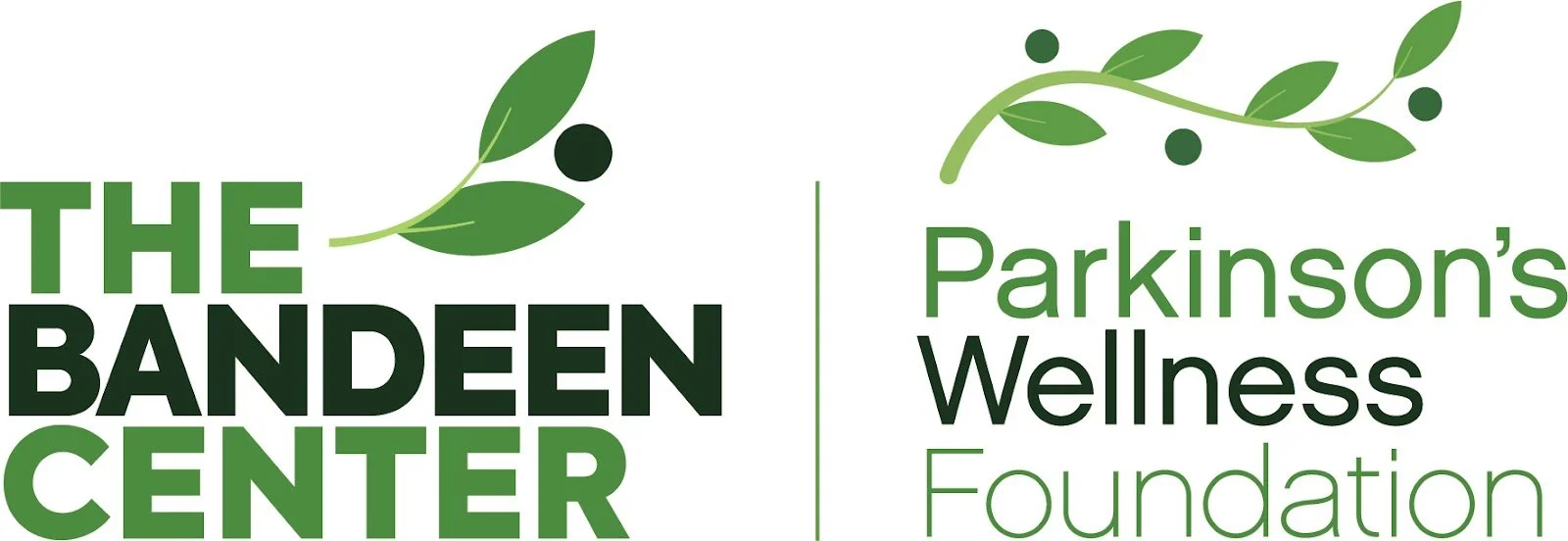 Bandeen_PWF_Logo.vB.jpg