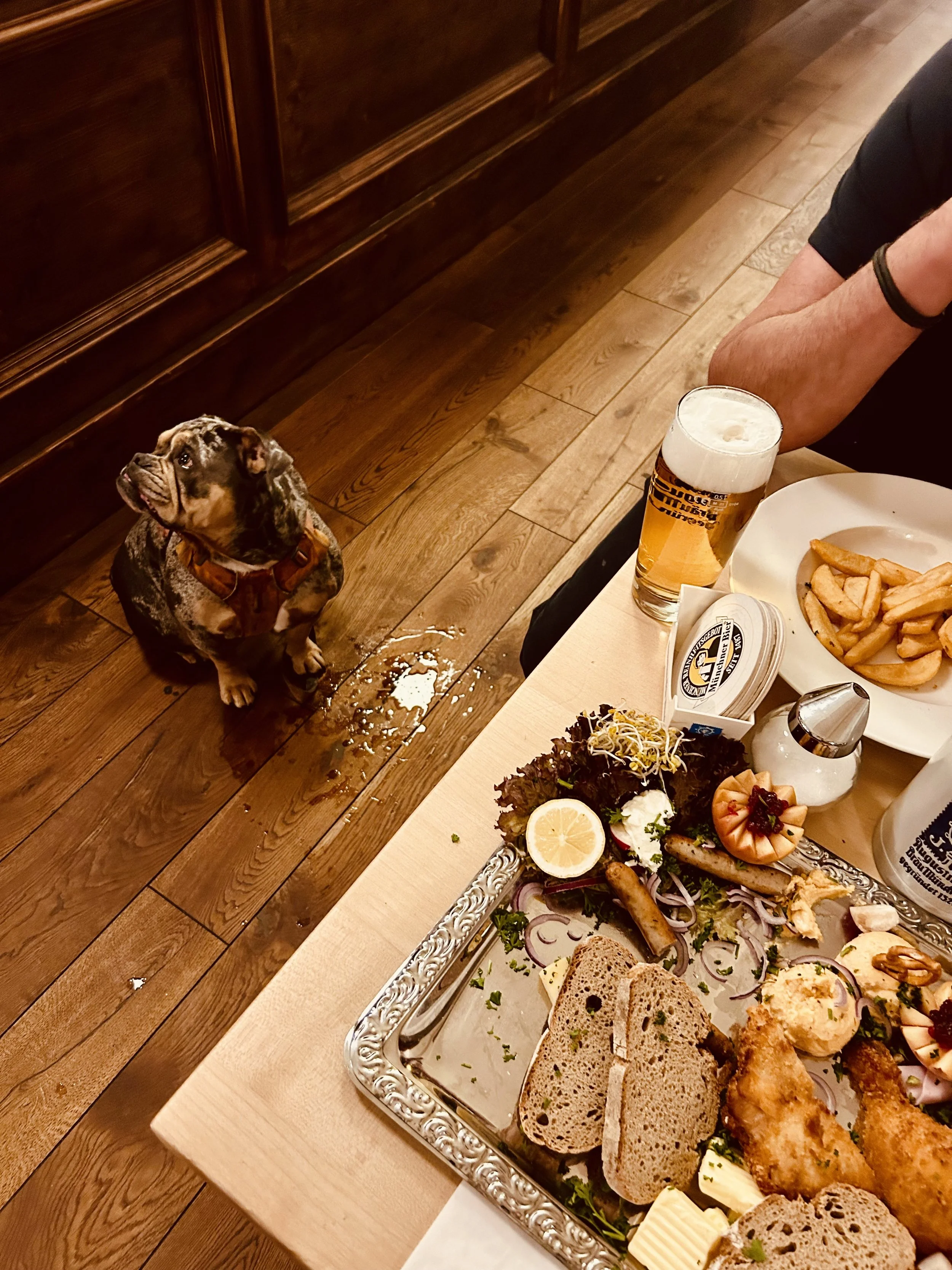 Walter wartet. Die Lage ist angespannt.