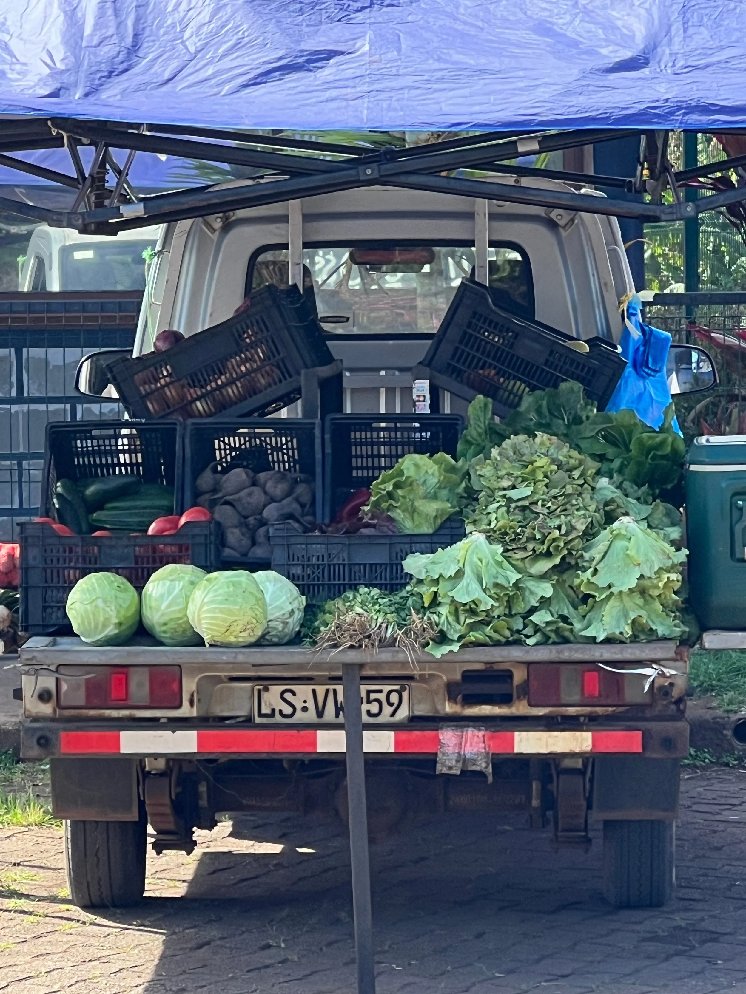 1e2f194f-caad-40fa-a512-d063798582de 12.10.06 PM.jpg