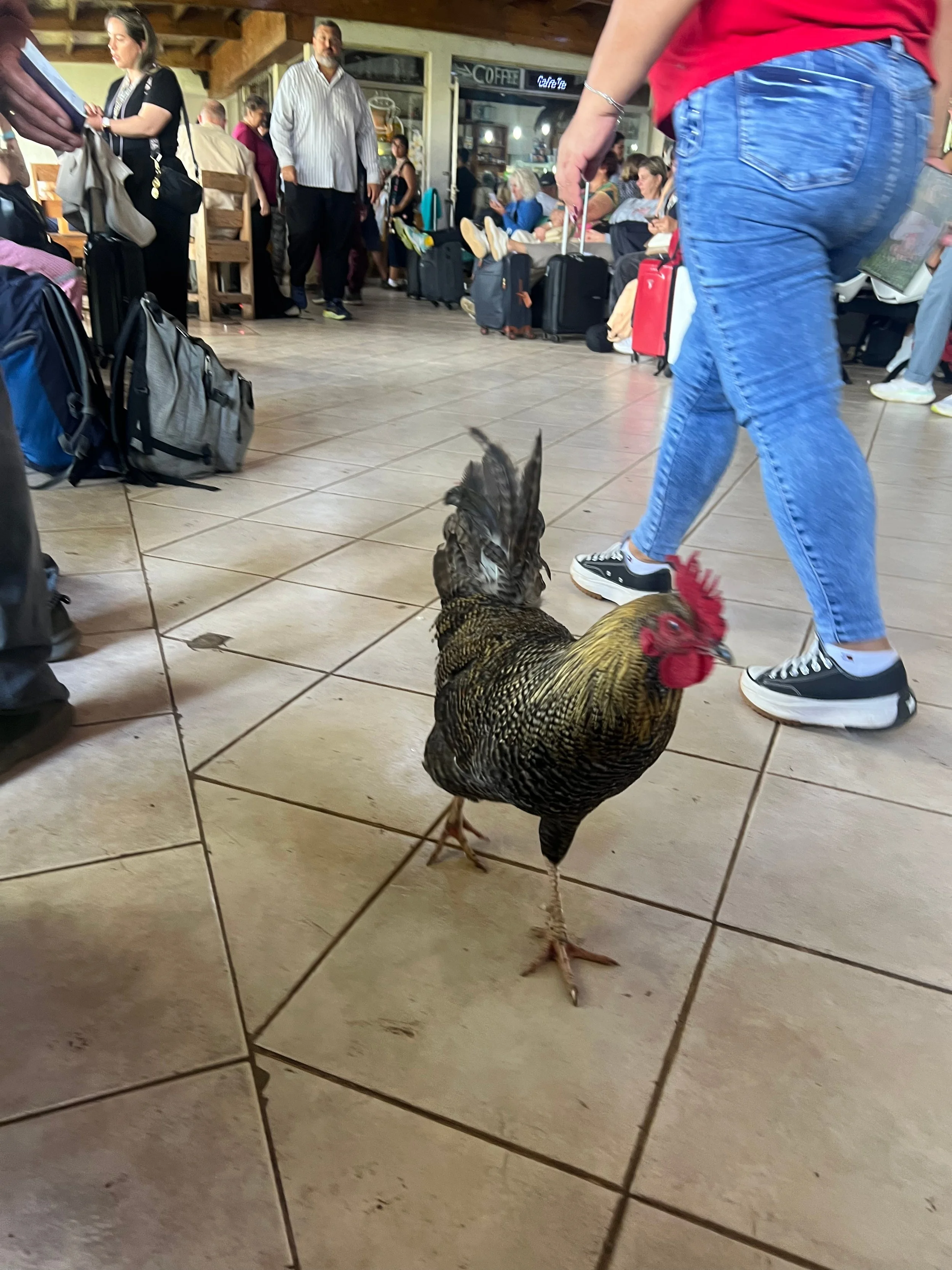 22227087-eaac-48a9-8dec-8b27abbce5aa 12.10.06 PM.jpg