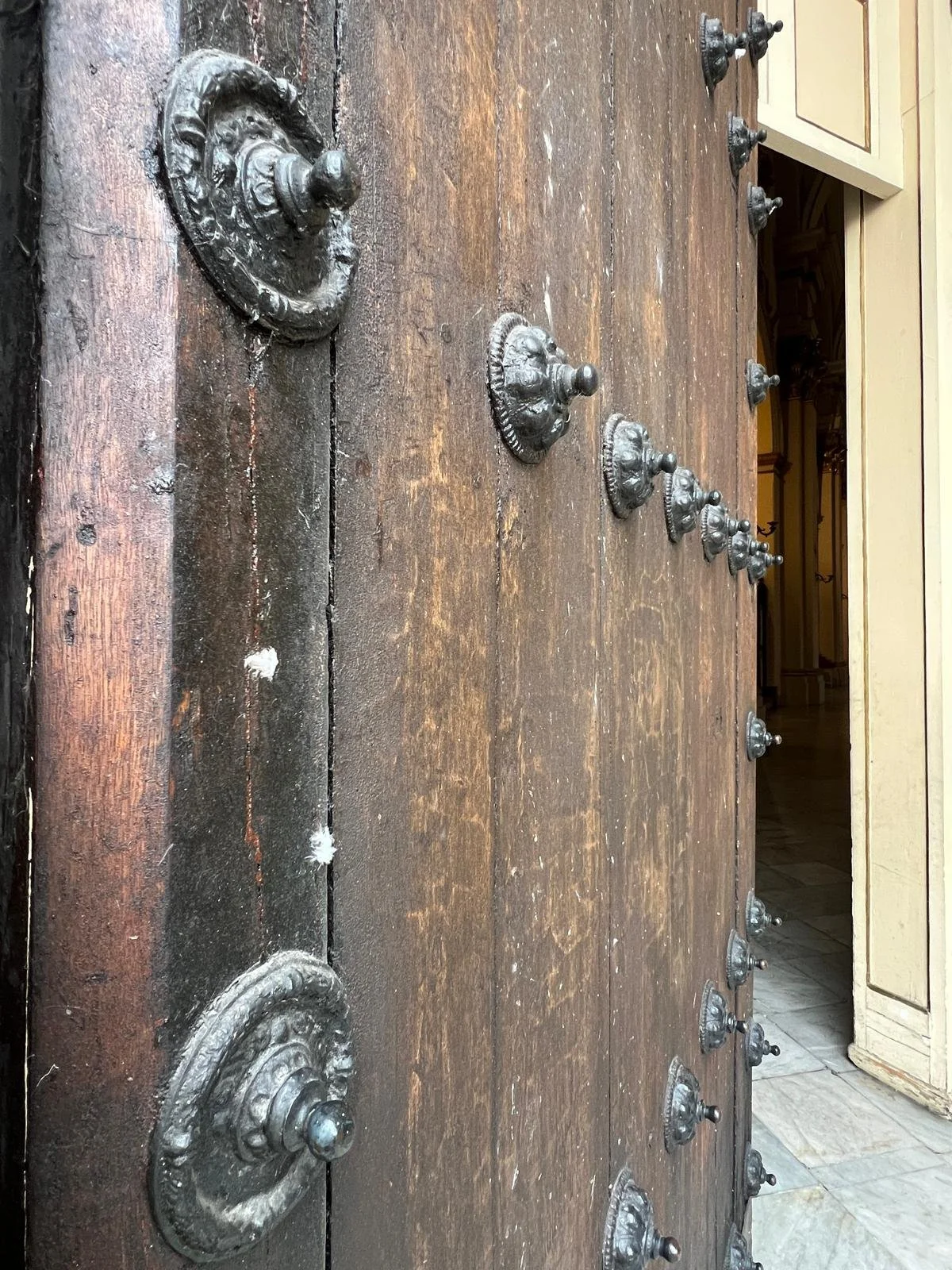 WhatsApp Image 2025-11-18 at 16.28.31 (11).jpeg