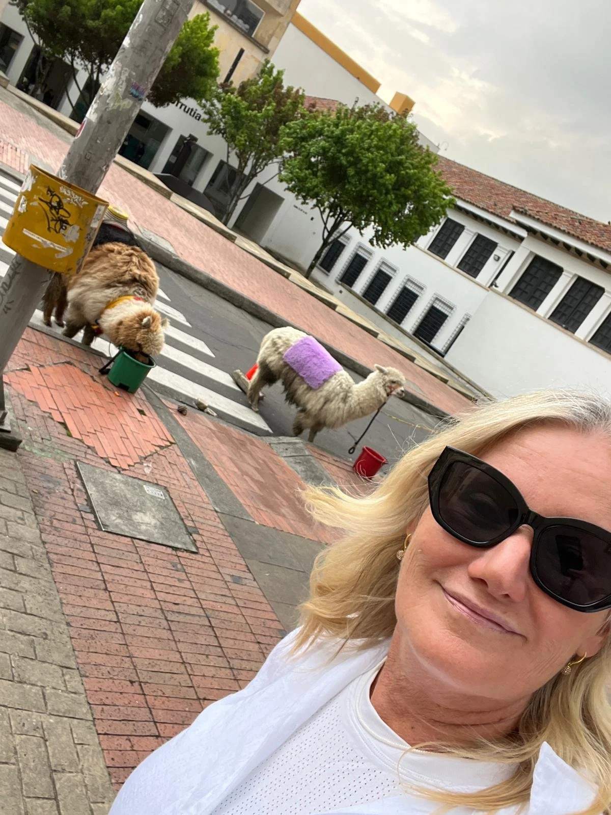 WhatsApp Image 2025-11-18 at 16.29.40 (1).jpeg