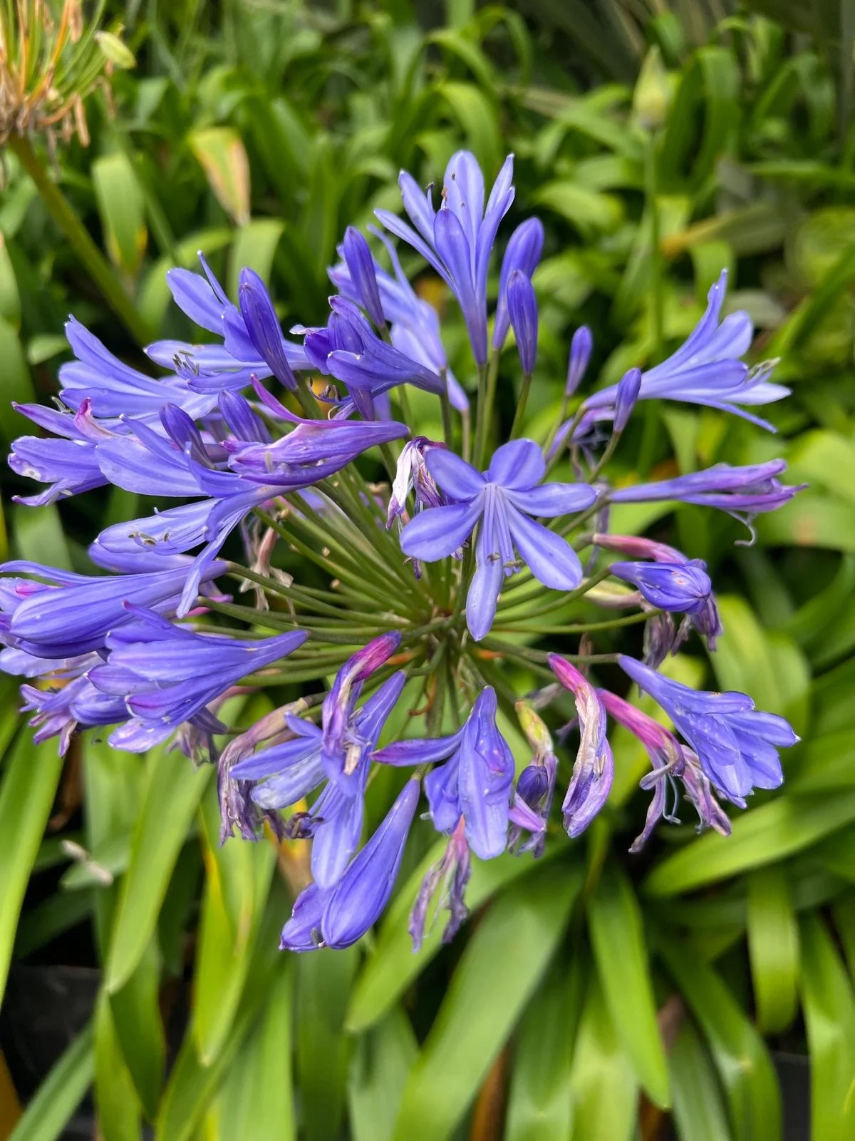 WhatsApp Image 2025-11-18 at 16.30.40 (6).jpeg