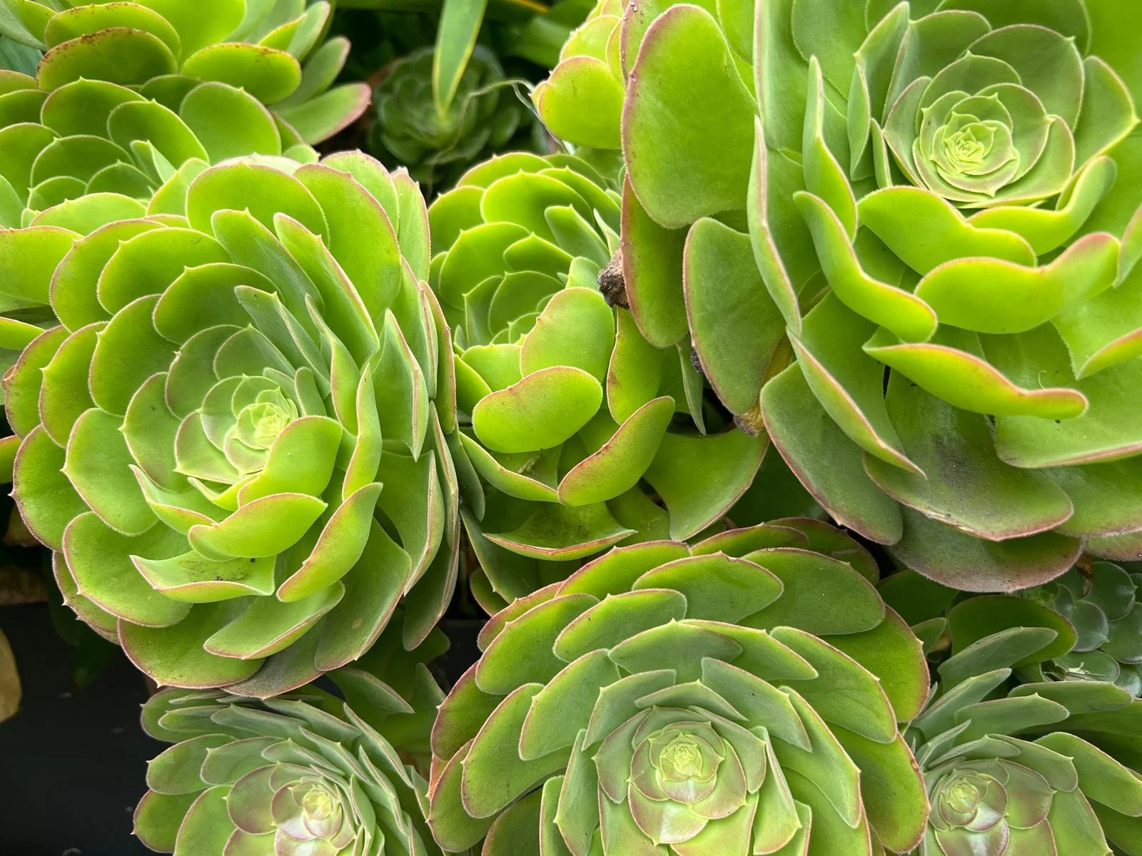 WhatsApp Image 2025-11-18 at 16.30.40 (7).jpeg