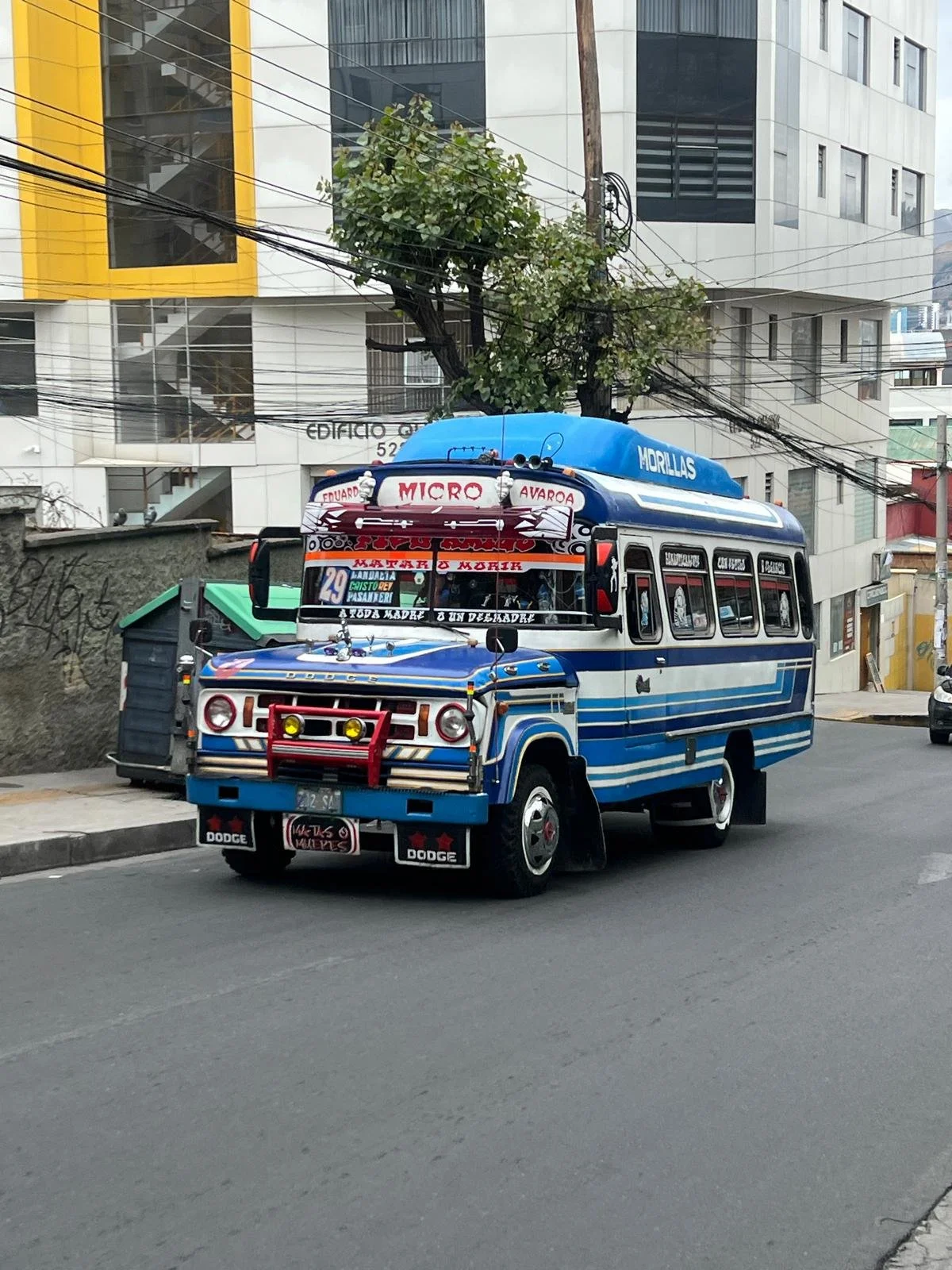 WhatsApp Image 2025-11-20 at 09.00.56 (2).jpeg