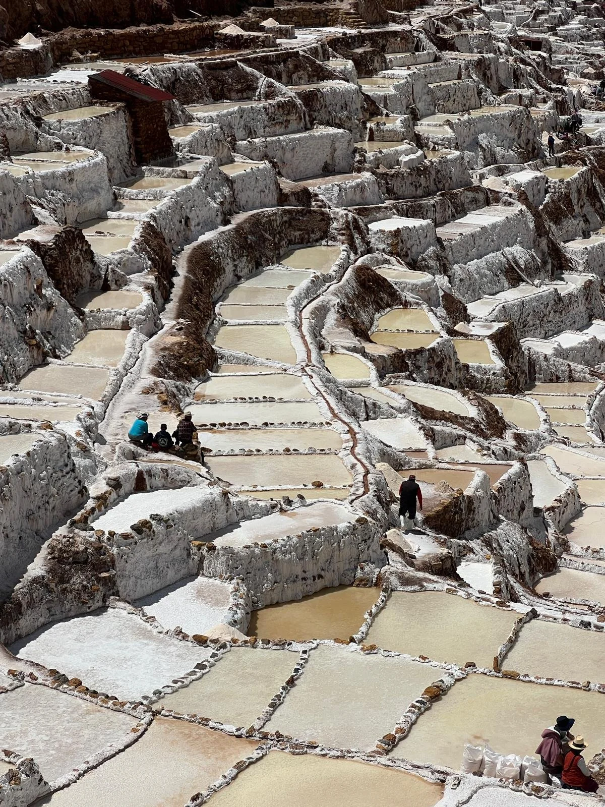 WhatsApp Image 2025-11-25 at 22.51.31 (1).jpeg