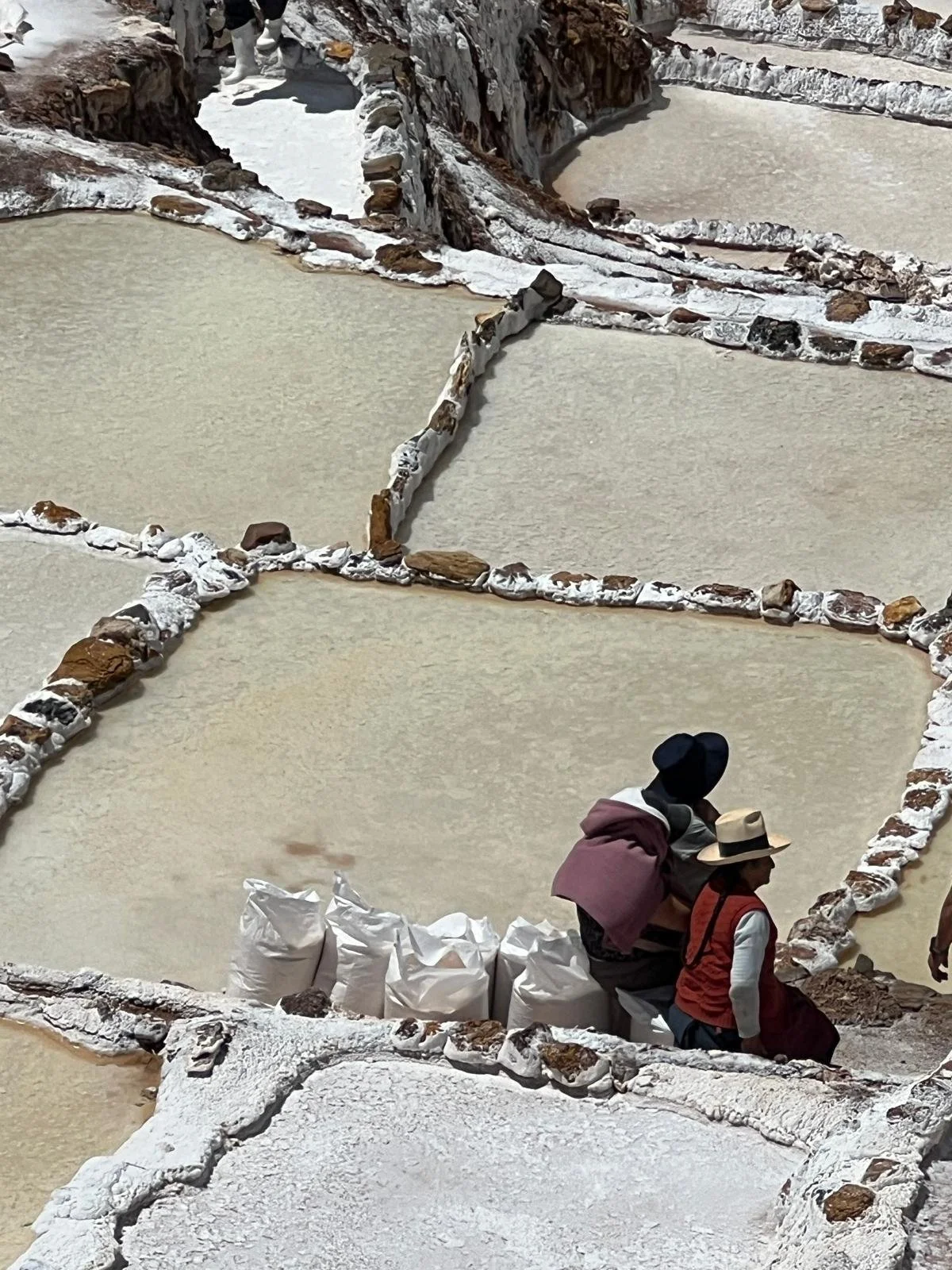 WhatsApp Image 2025-11-25 at 22.51.31 (2).jpeg