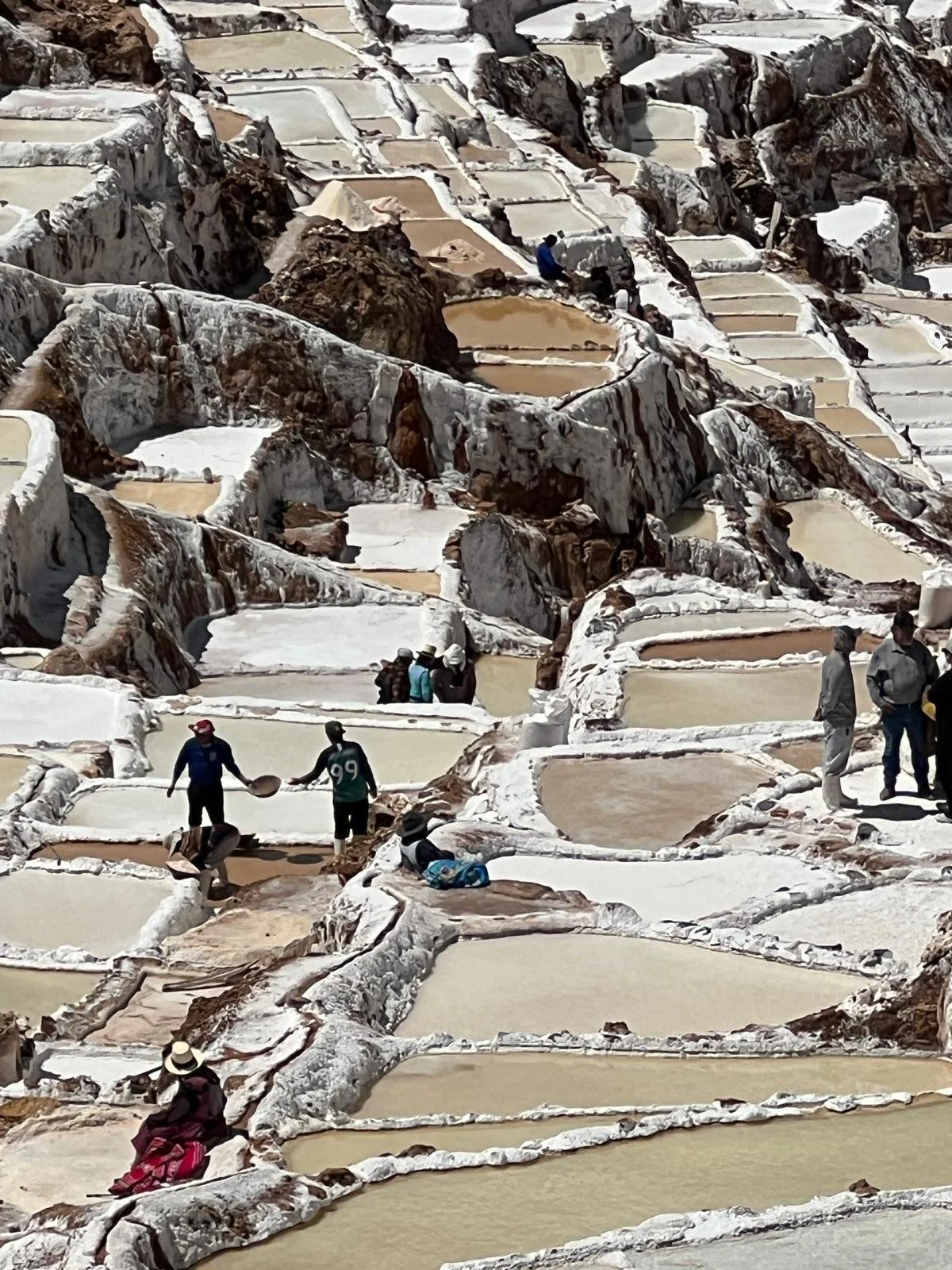 WhatsApp Image 2025-11-25 at 22.52.33.jpeg