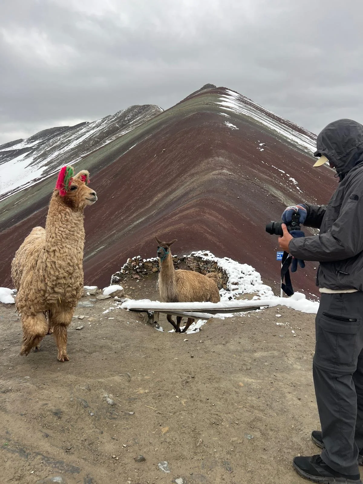 WhatsApp Image 2025-11-25 at 22.52.34 (5).jpeg