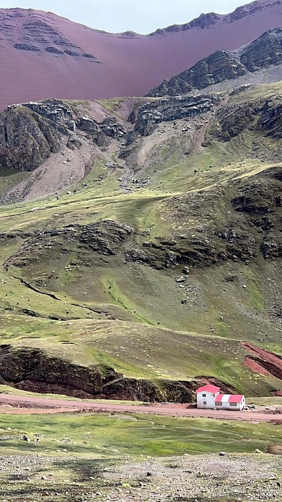 WhatsApp Image 2025-11-25 at 22.53.45 (2).jpeg