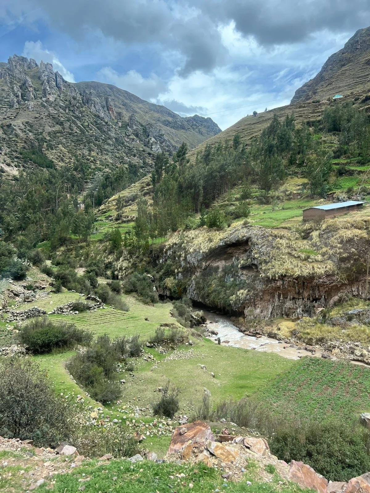 WhatsApp Image 2025-11-25 at 22.53.45 (4).jpeg