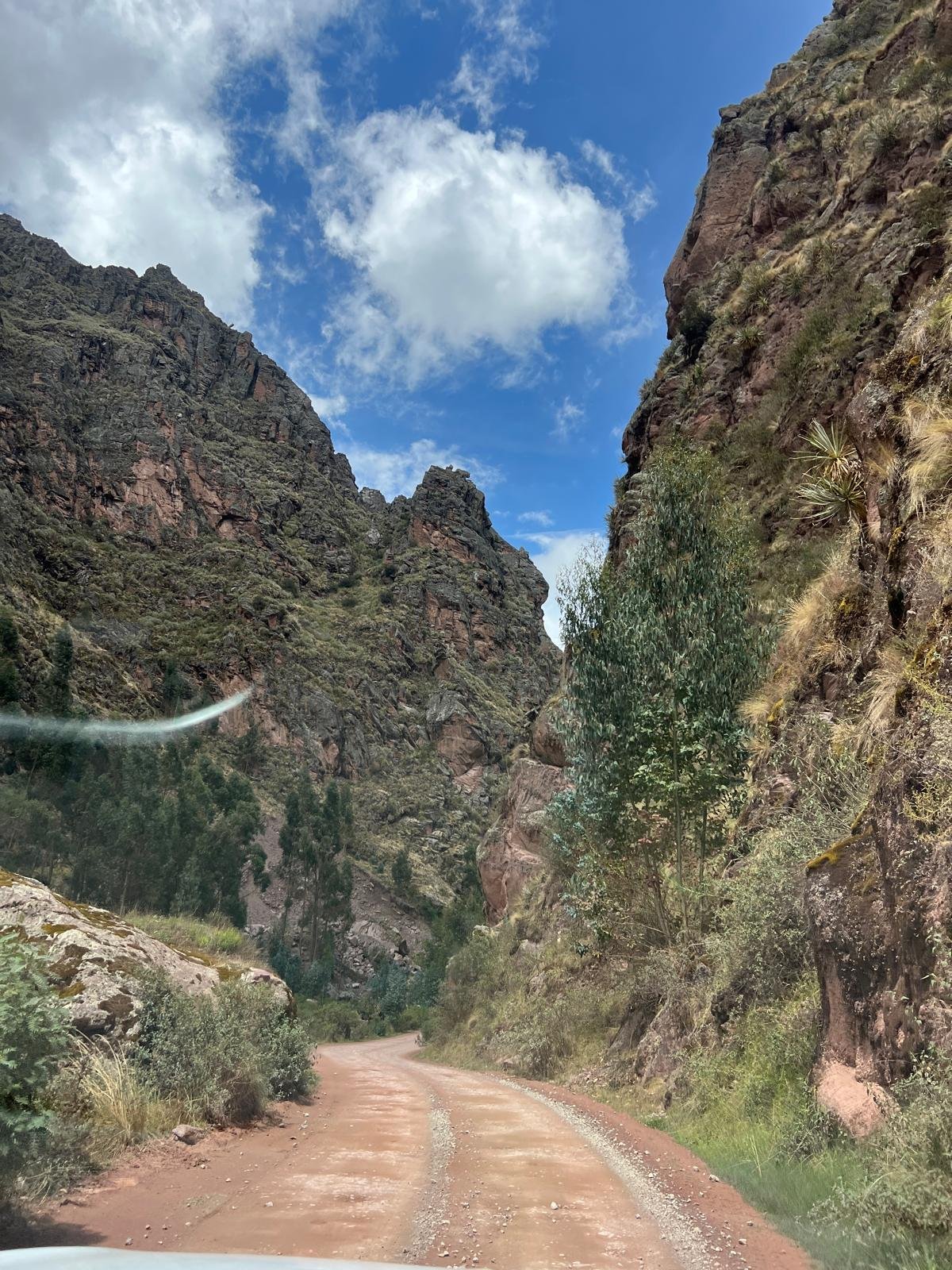 WhatsApp Image 2025-11-25 at 22.53.45 (6).jpeg