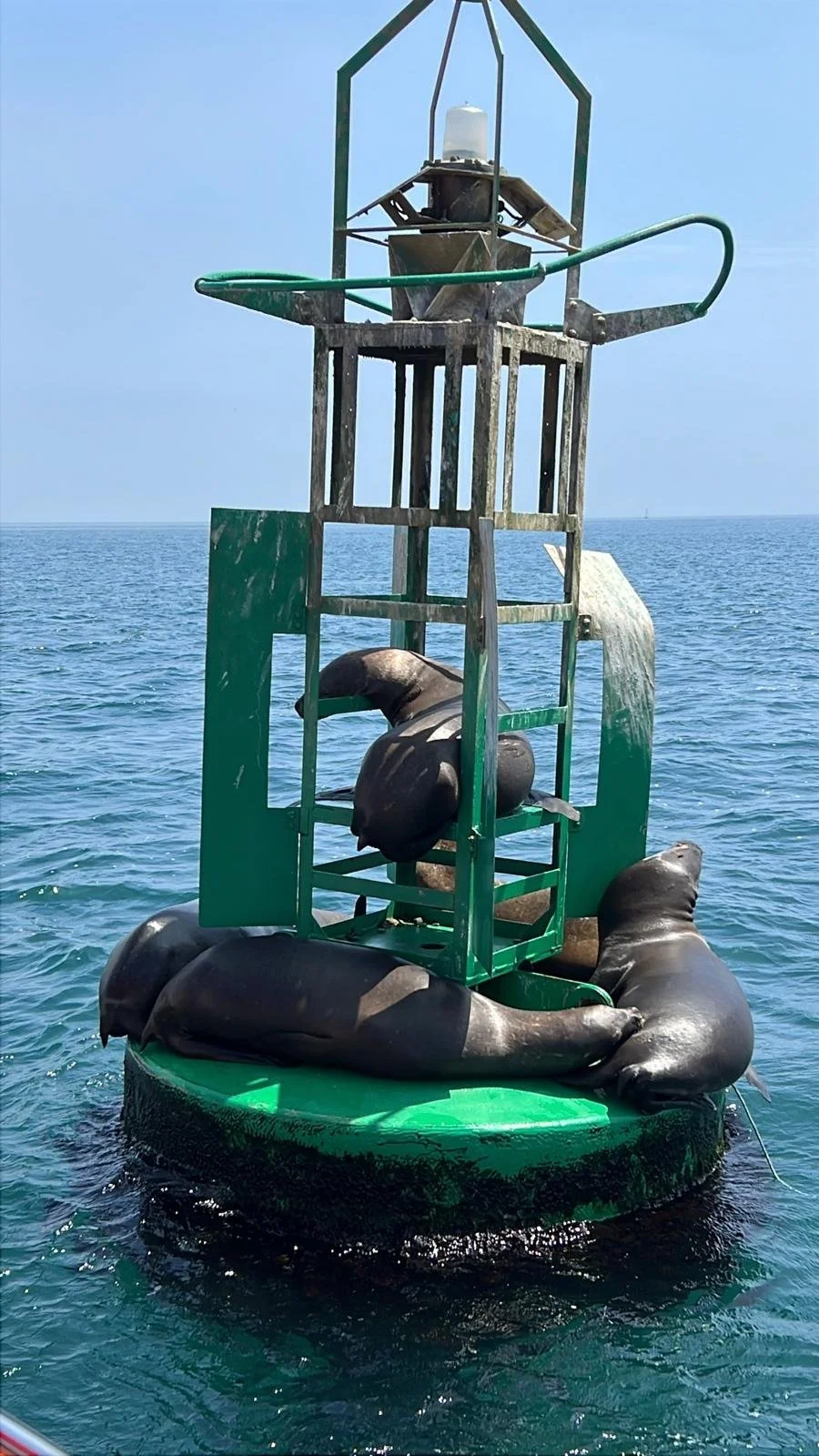 WhatsApp Image 2025-11-26 at 22.56.02 (1).jpeg