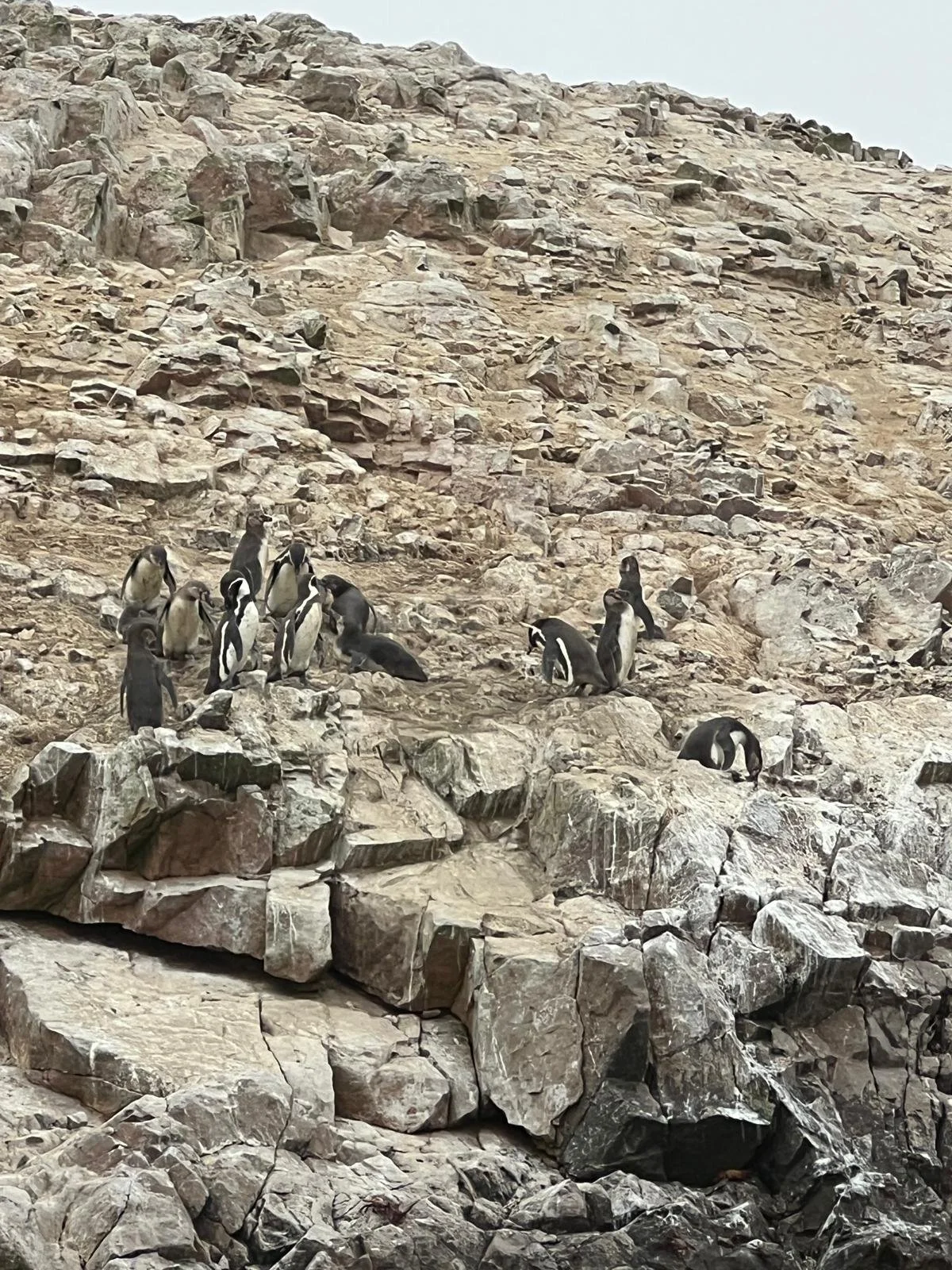 WhatsApp Image 2025-11-26 at 22.56.02 (2).jpeg