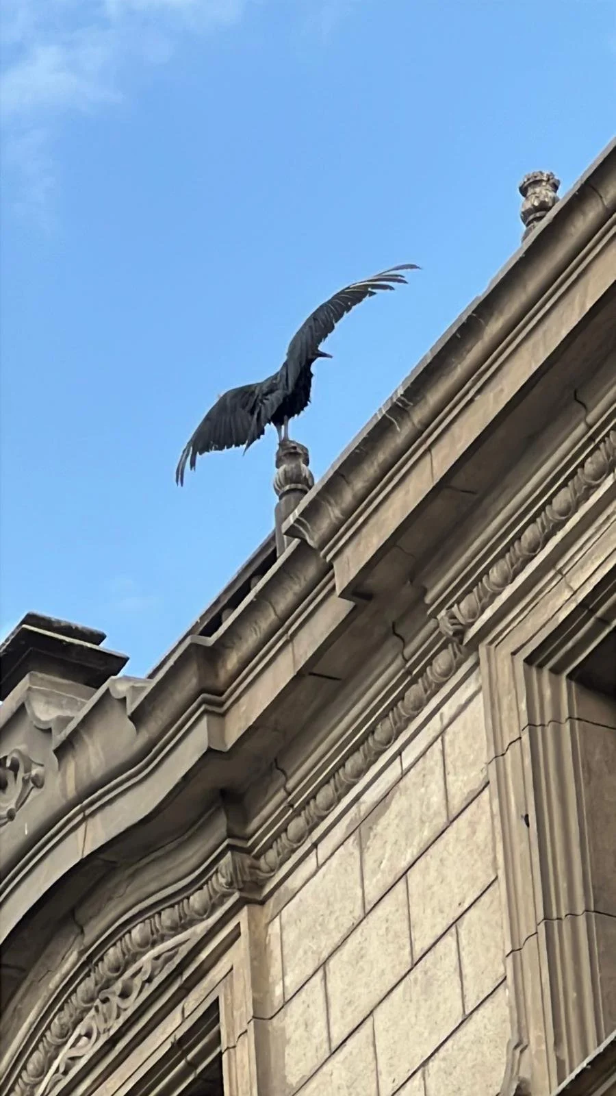 WhatsApp Image 2025-11-26 at 23.03.20 (7).jpeg