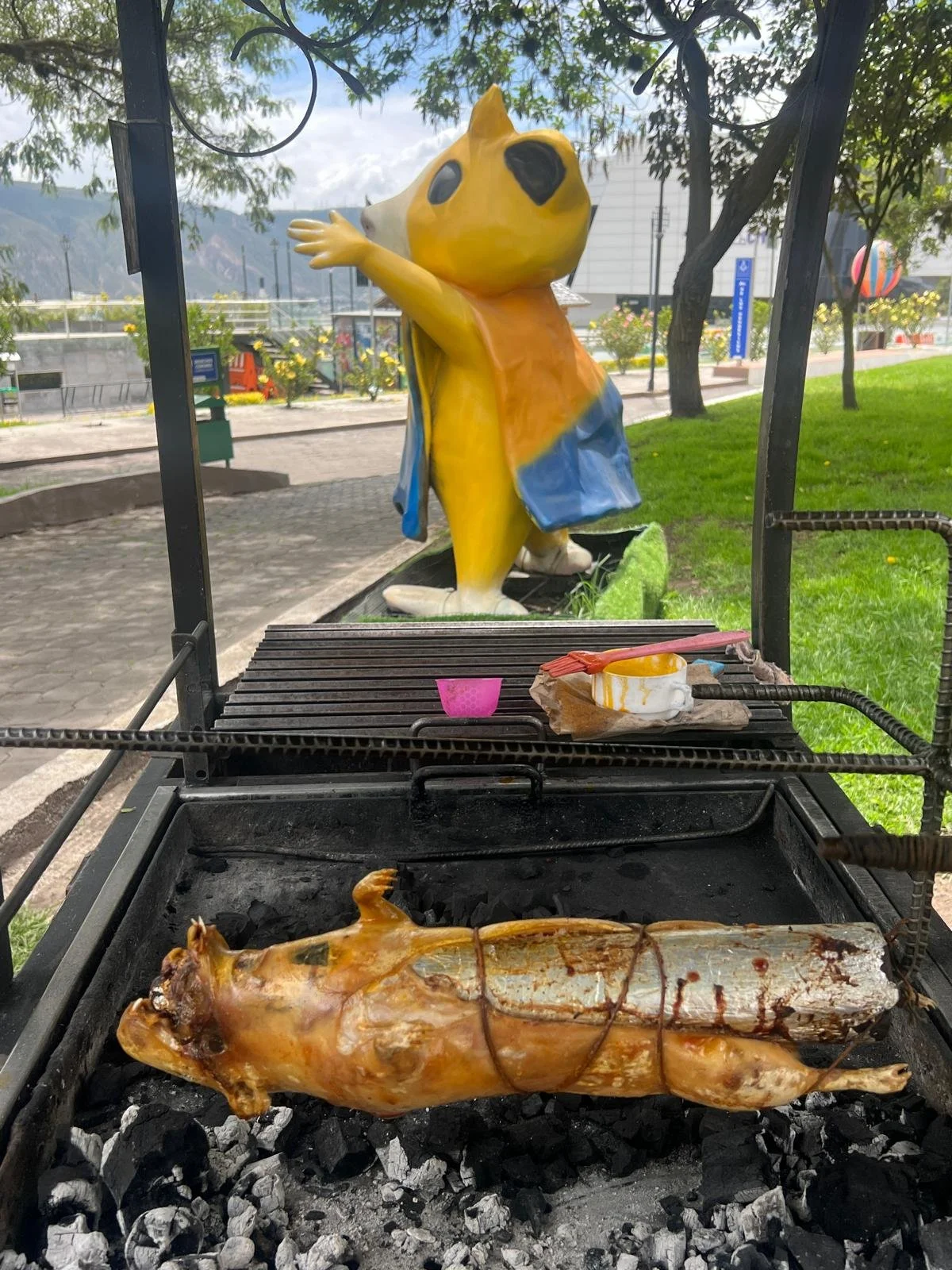 WhatsApp Image 2025-11-27 at 22.31.17.jpeg