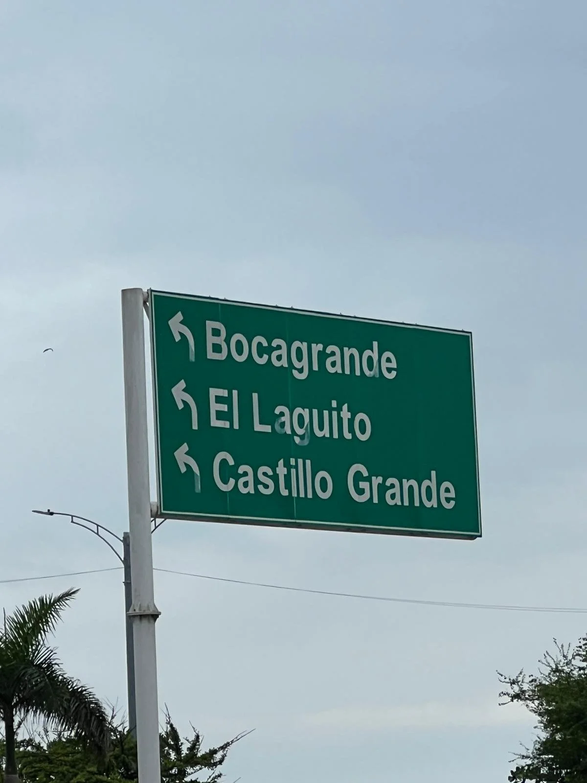 WhatsApp Image 2025-12-01 at 13.48.07 (4).jpeg