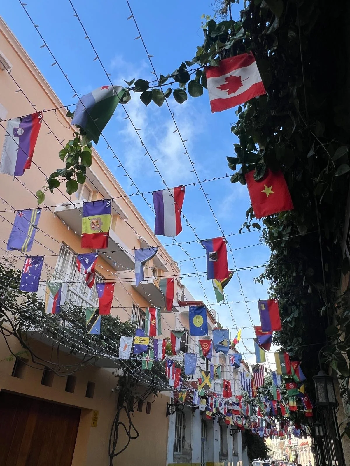 WhatsApp Image 2025-12-01 at 13.51.19 (10).jpeg