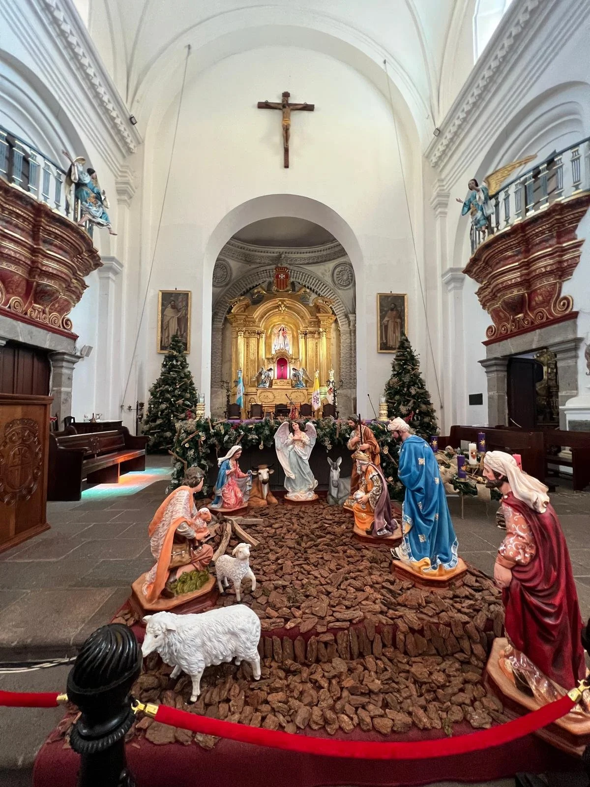 WhatsApp Image 2025-12-05 at 19.58.31 (1).jpeg