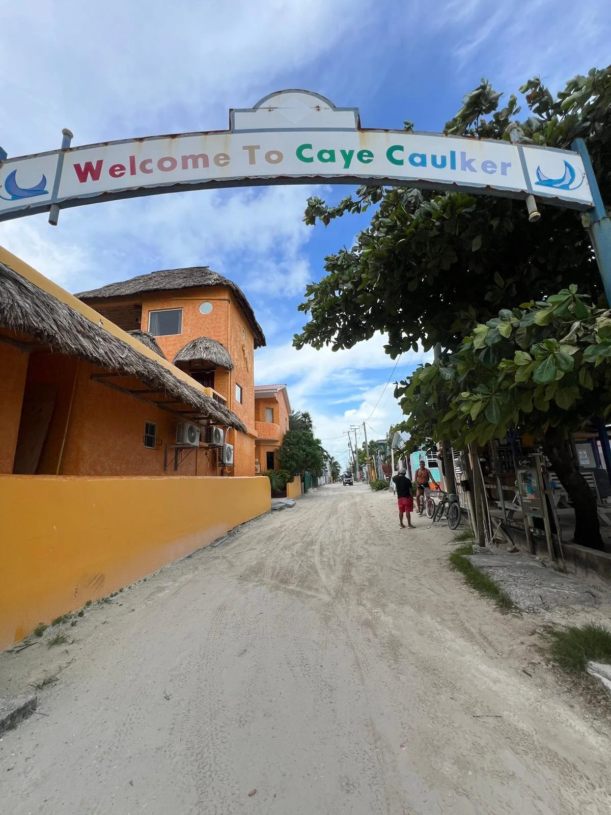 WhatsApp Image 2025-12-11 at 19.07.13.jpeg