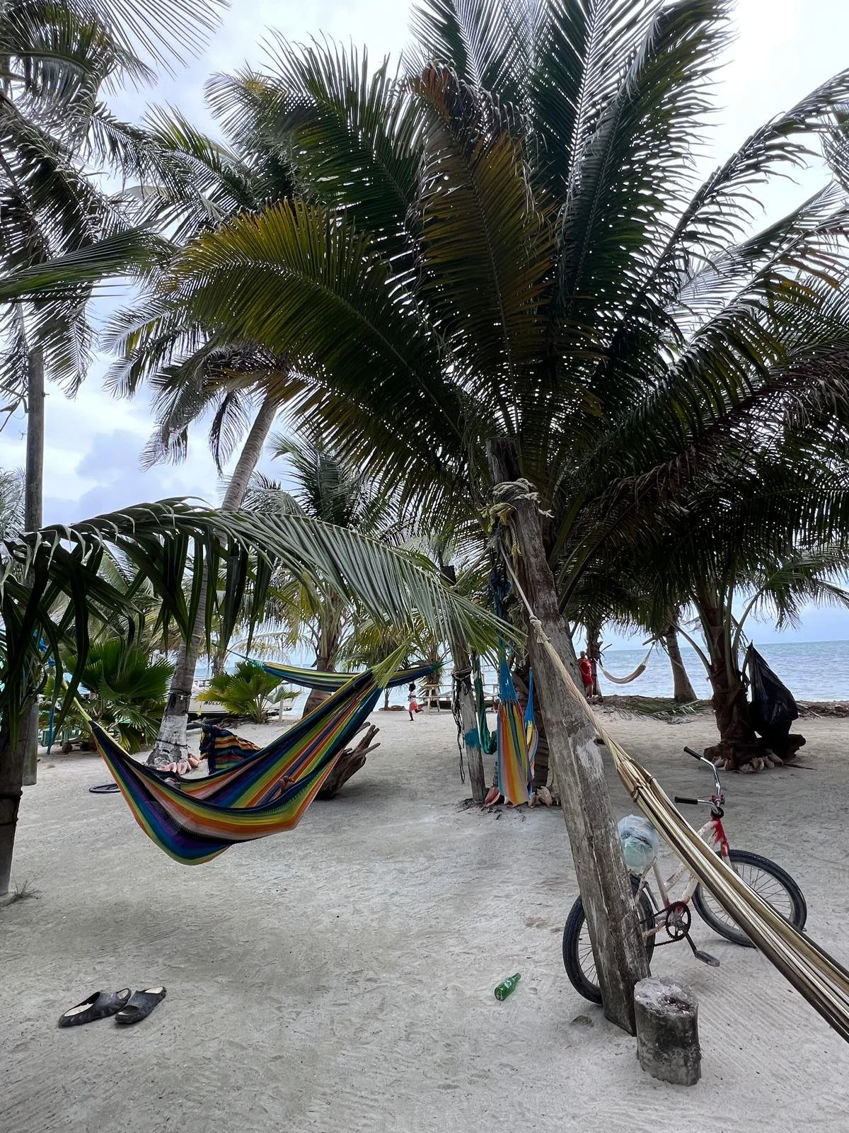 WhatsApp Image 2025-12-11 at 19.07.16 (6).jpeg