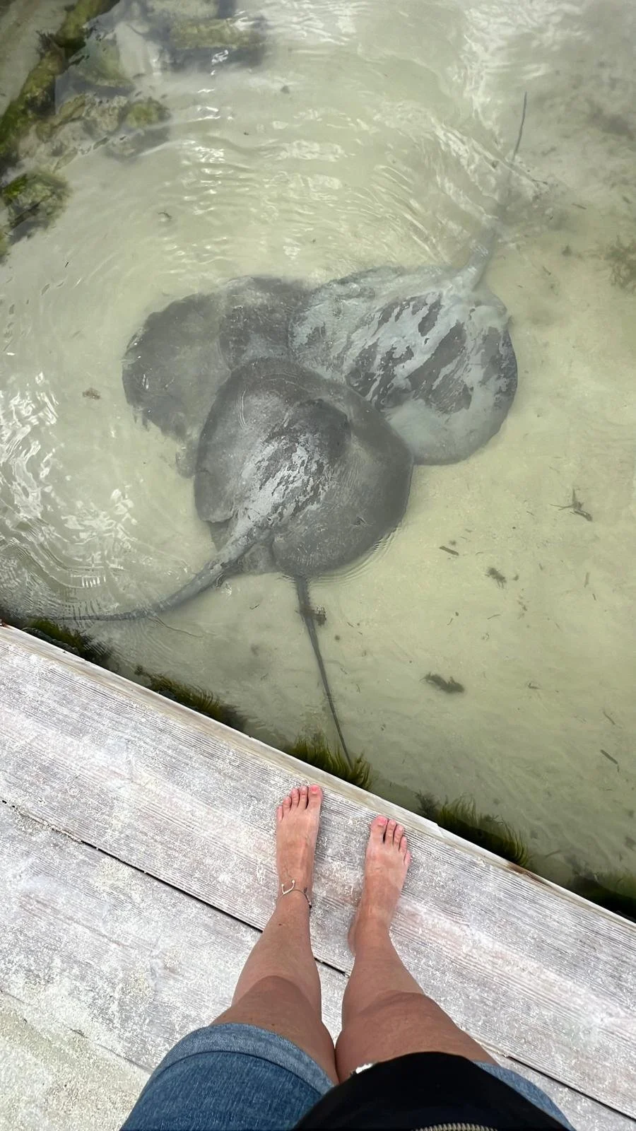 WhatsApp Image 2025-12-11 at 19.07.17 (1).jpeg