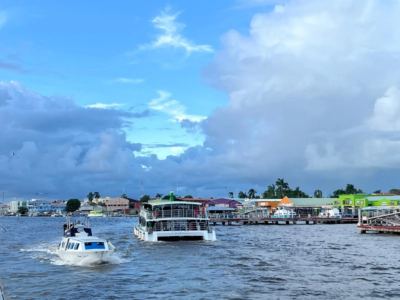 WhatsApp Image 2025-12-11 at 19.18.44 (1).jpeg