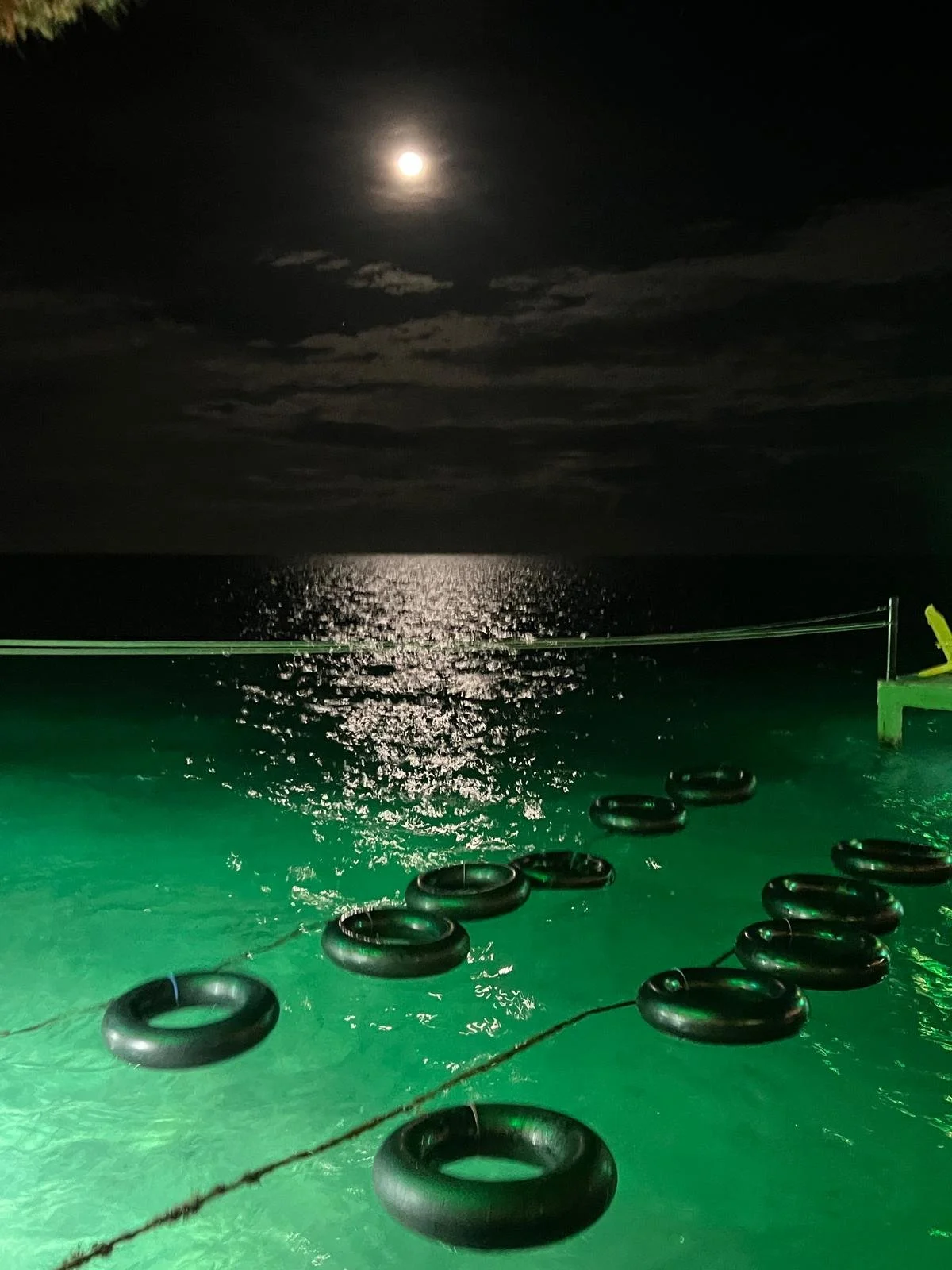 WhatsApp Image 2025-12-11 at 19.18.44 (4).jpeg