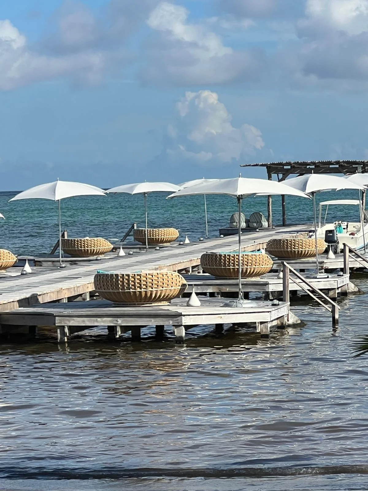 WhatsApp Image 2025-12-11 at 19.18.46 (2).jpeg